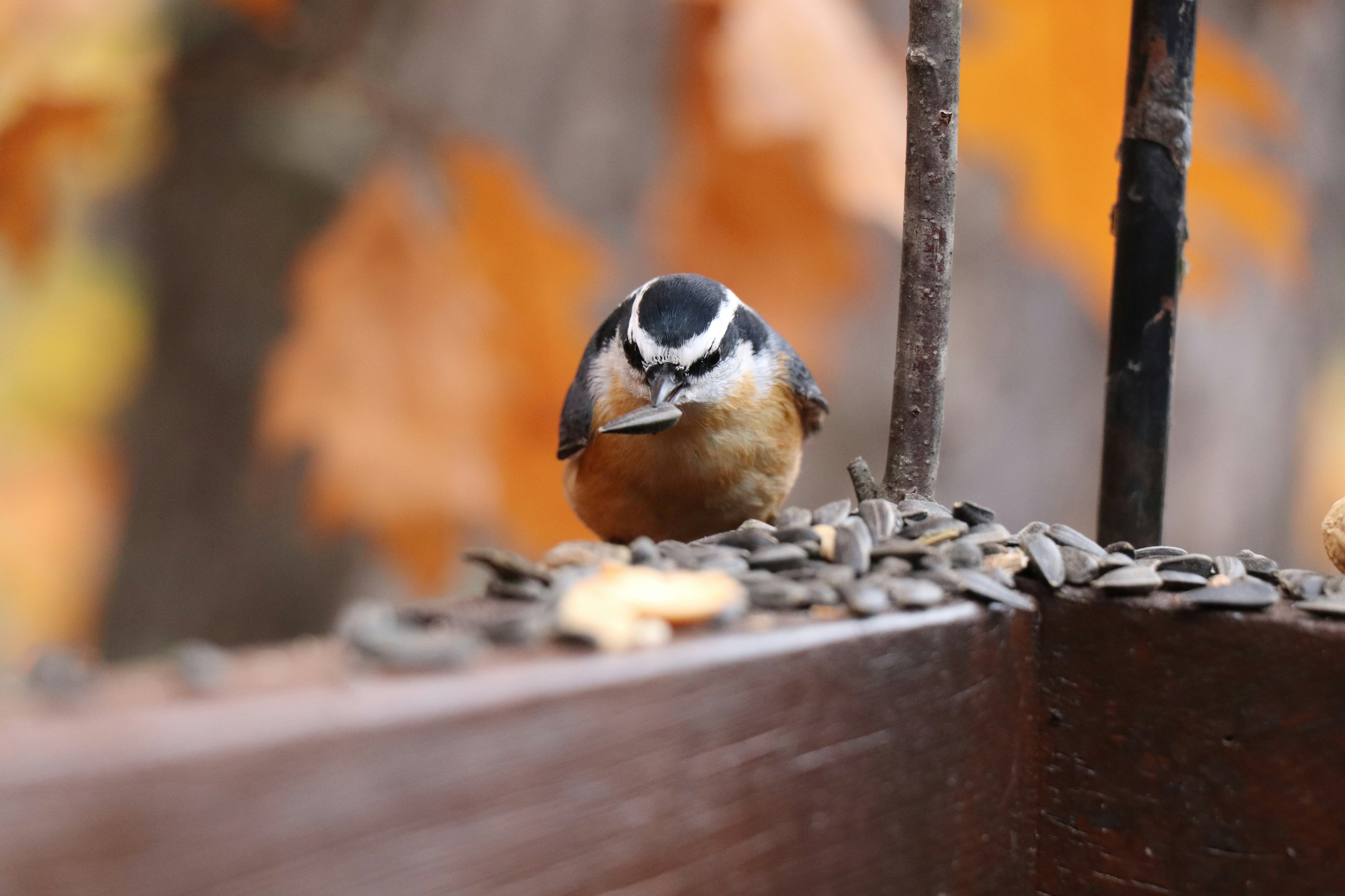 Photo by sandimagerart