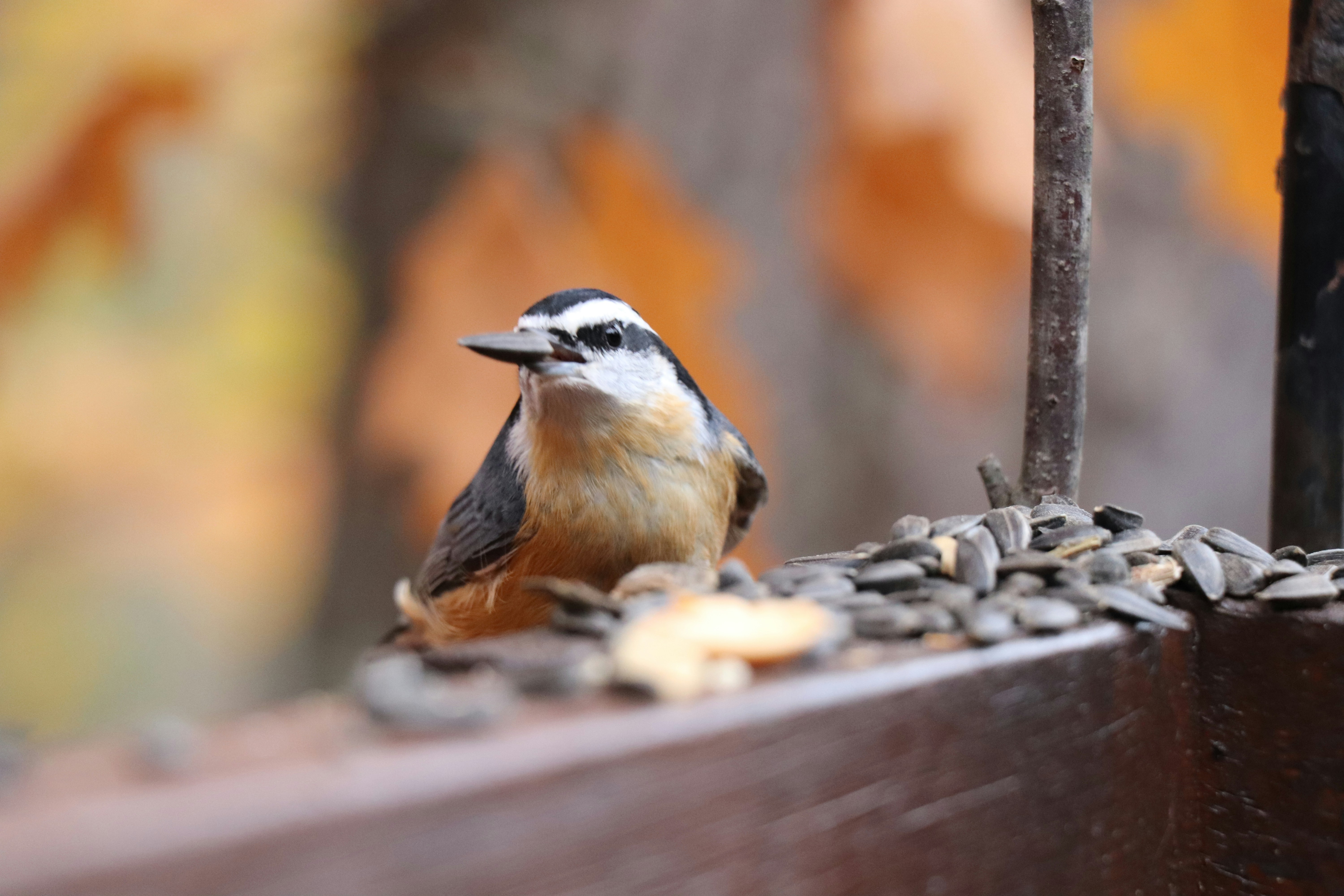 Photo by sandimagerart