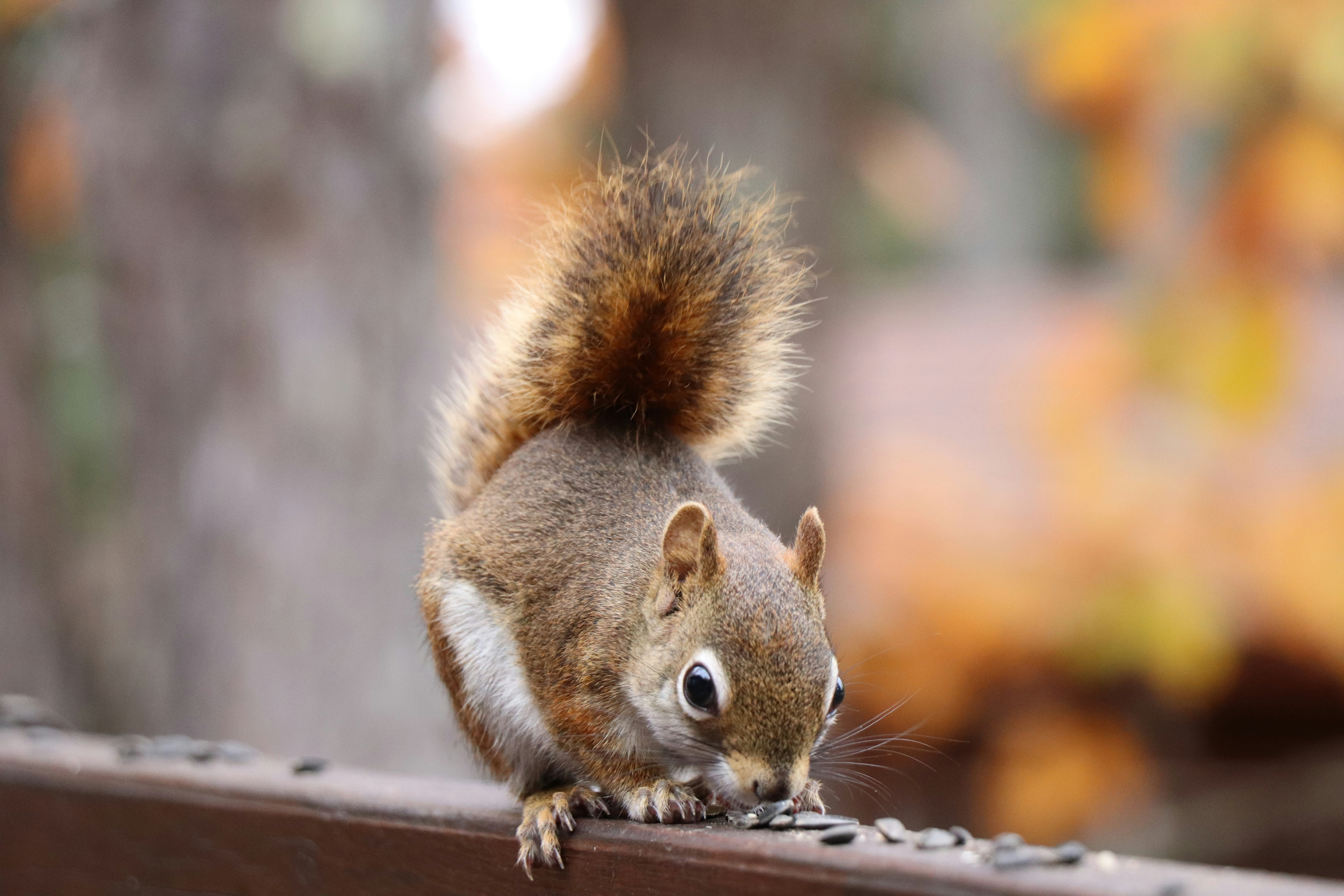 Photo by sandimagerart