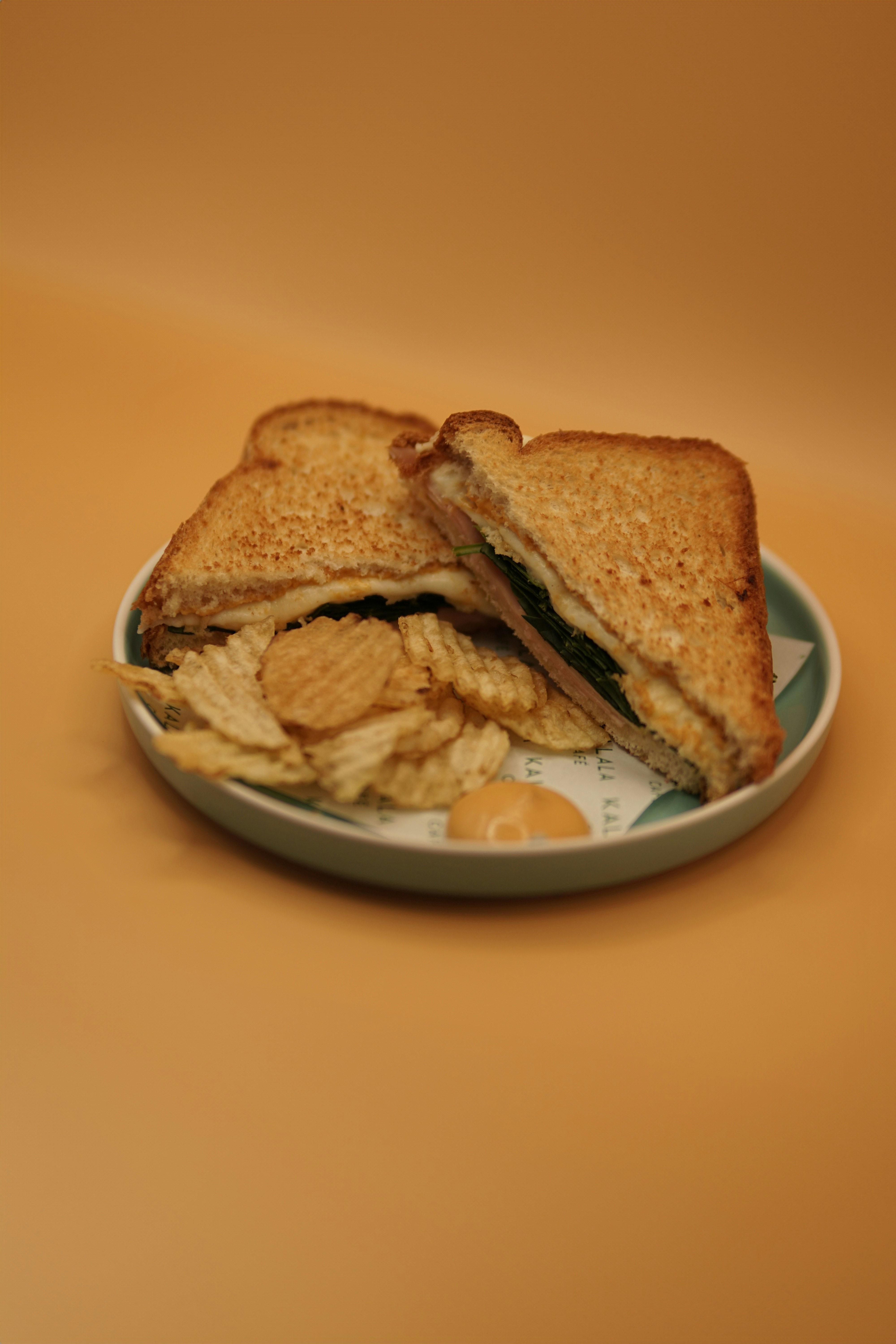 Completed Philly cheesesteak sandwich ready to serve