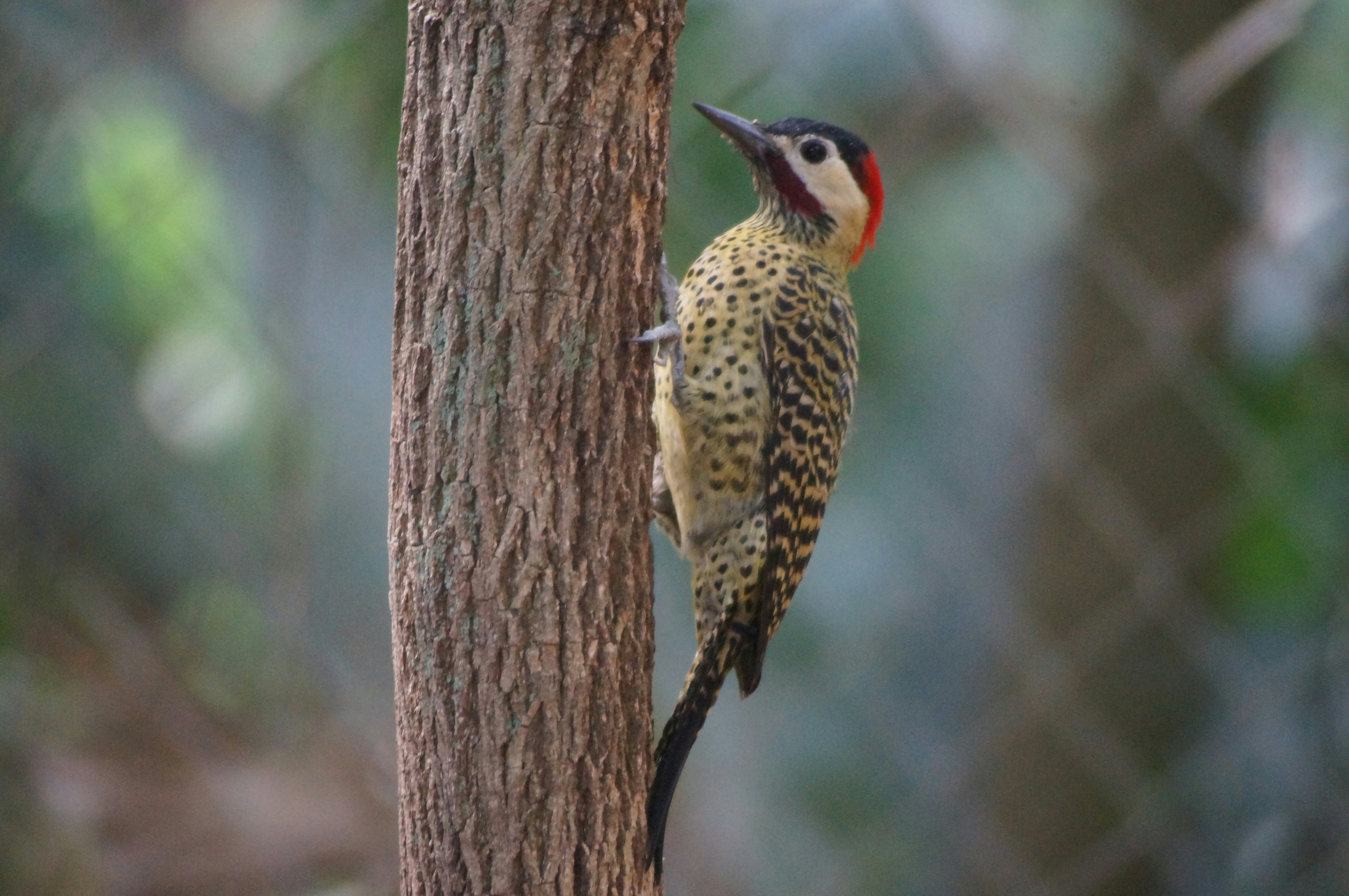 Photo by fredmachado