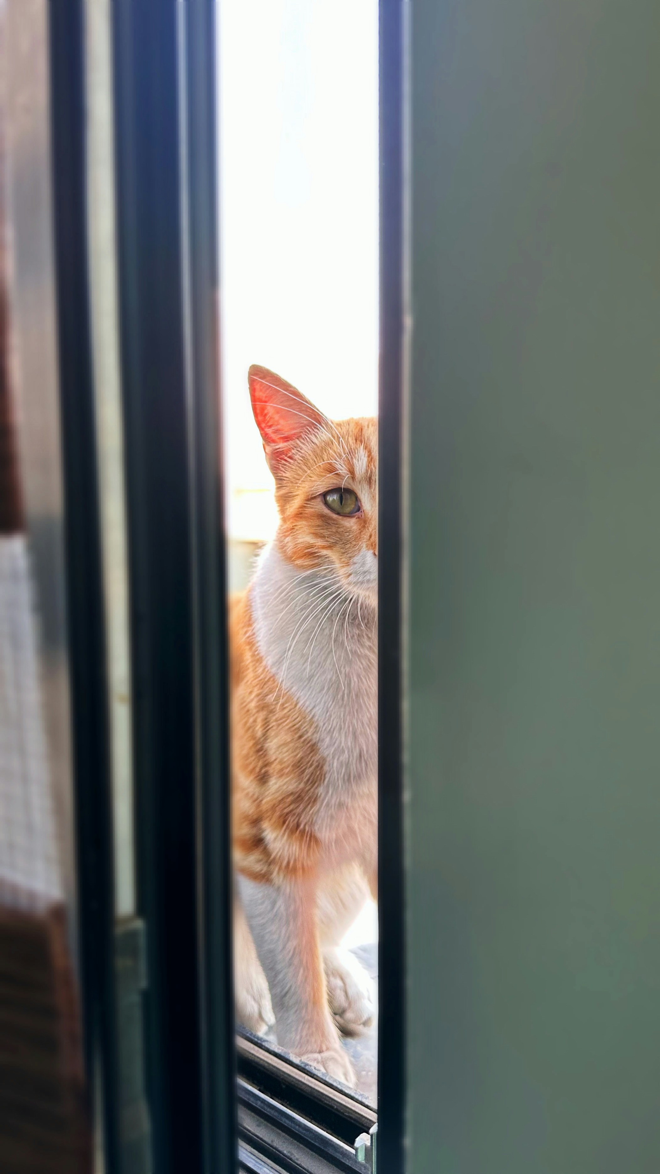 Photo by mahyar_parand