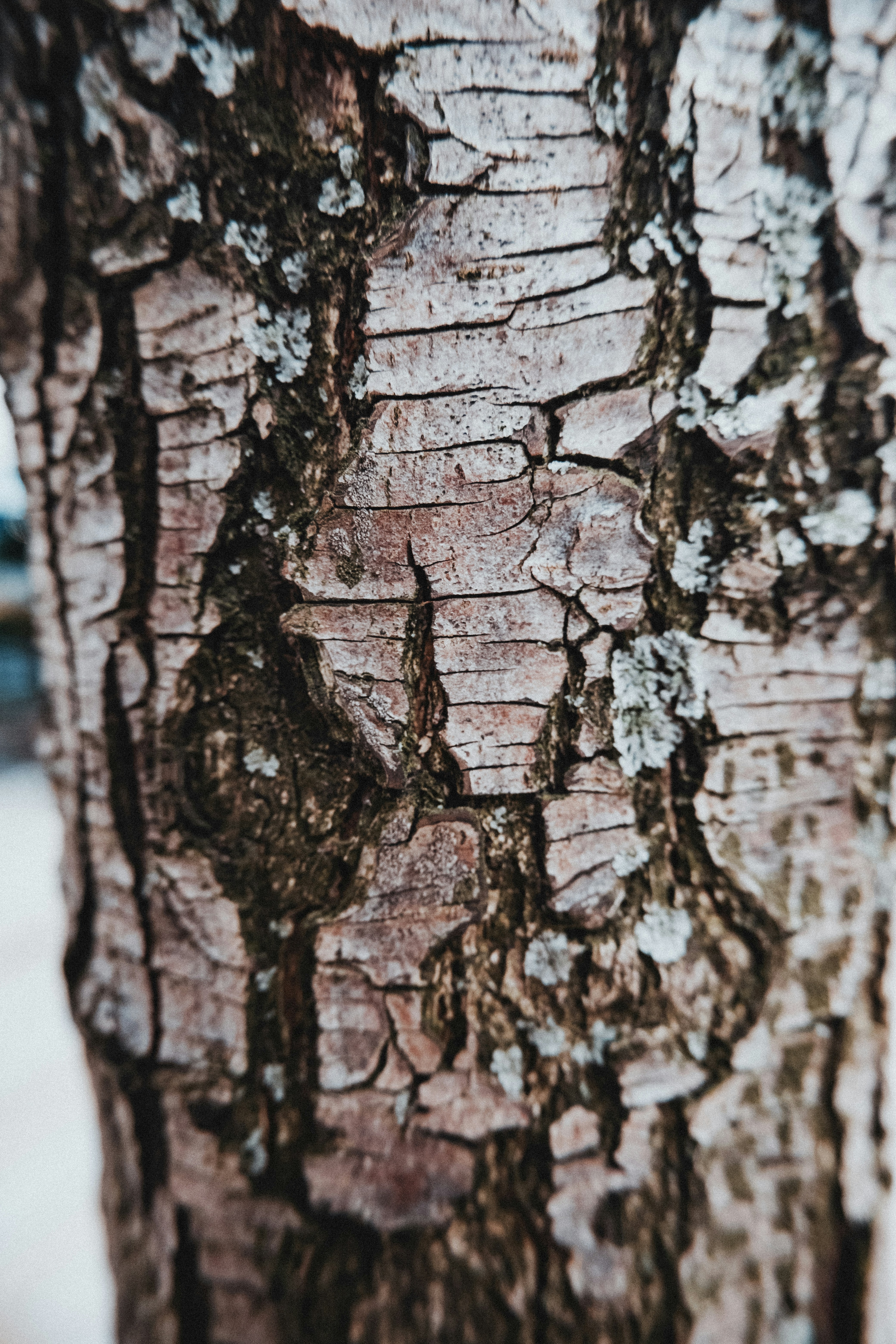 Photo by reganography