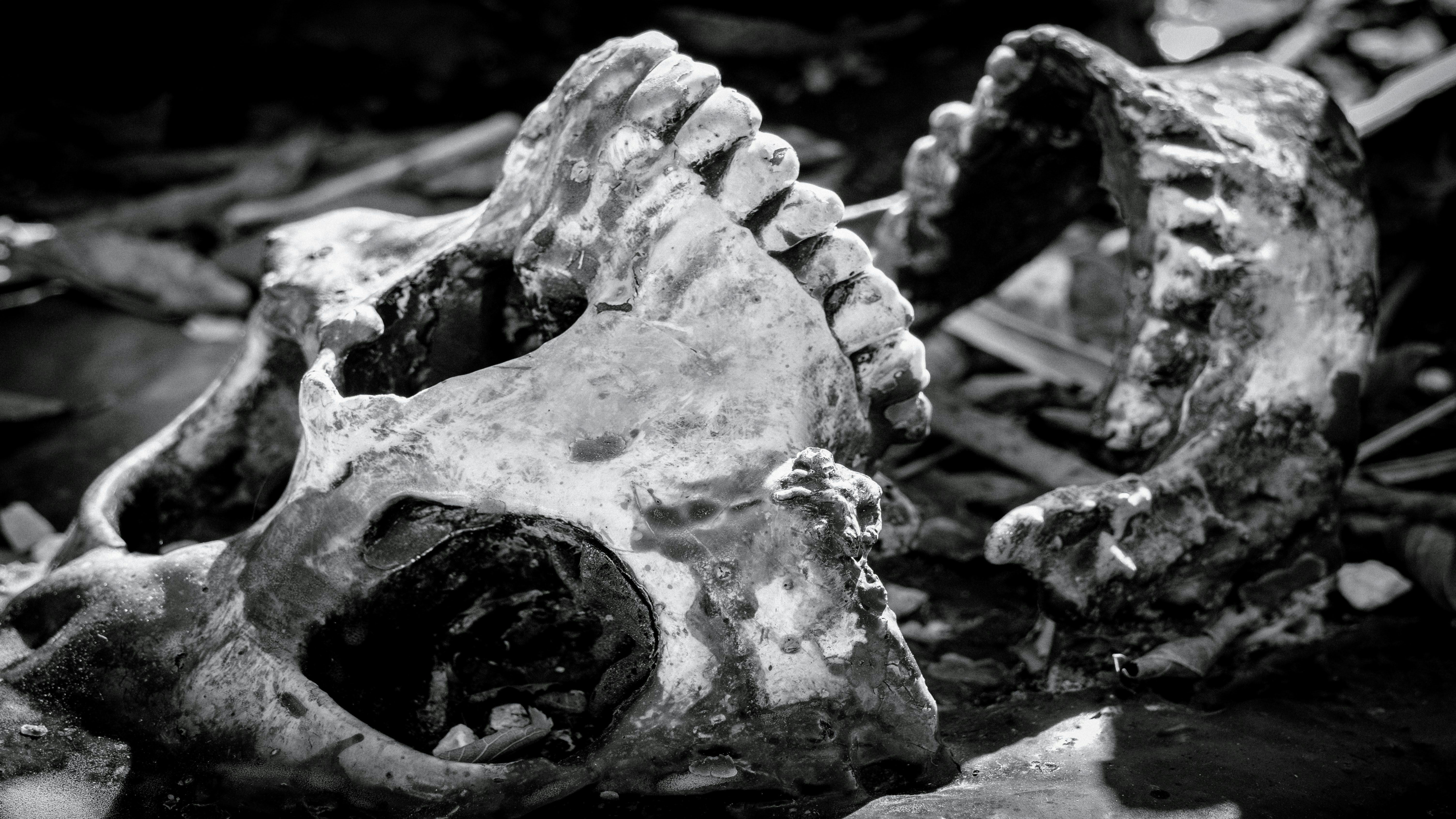 Photo by peterbbryan