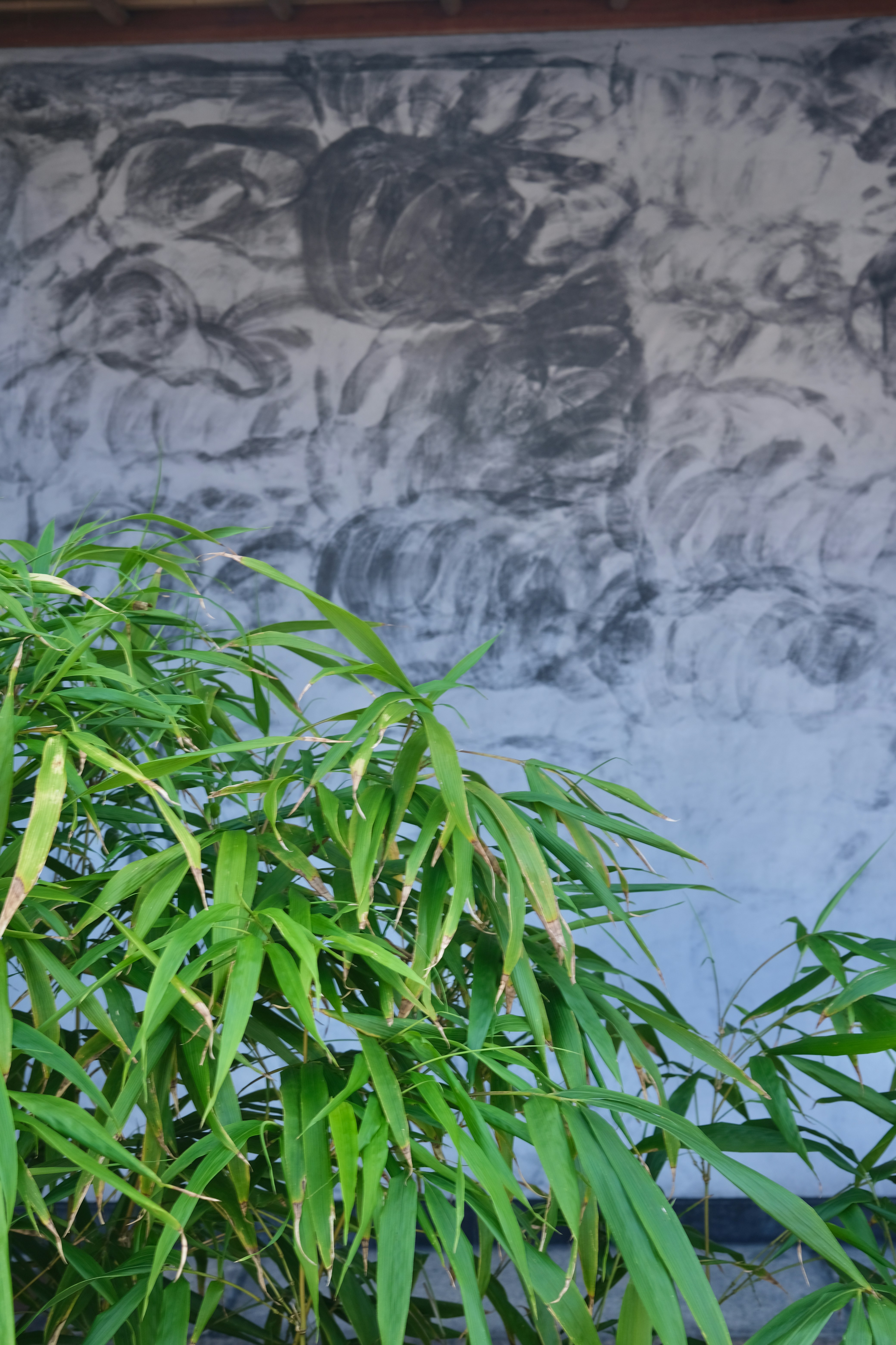 A bamboo plant in front of a wall with a painting on it