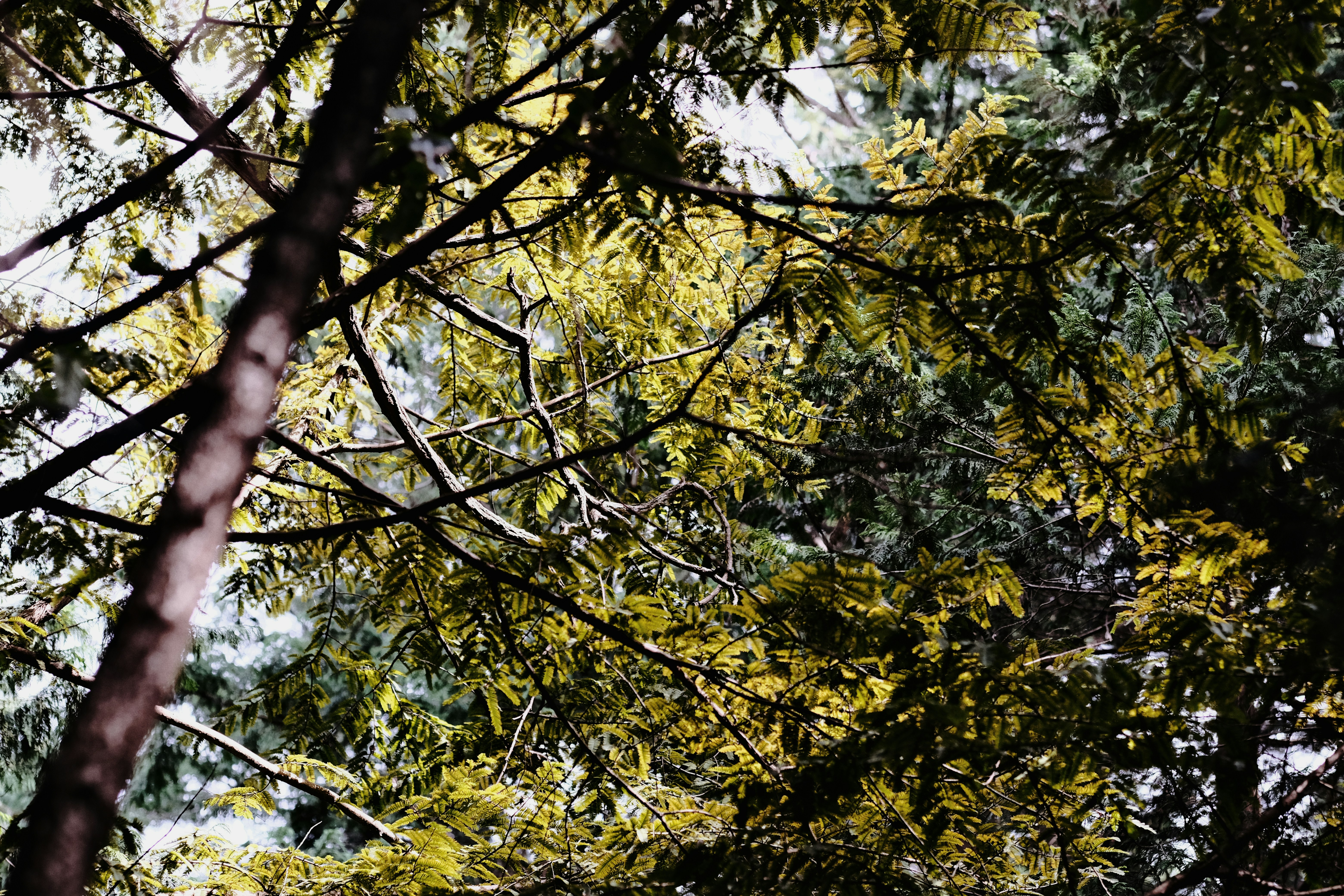 Photo by amihailoven