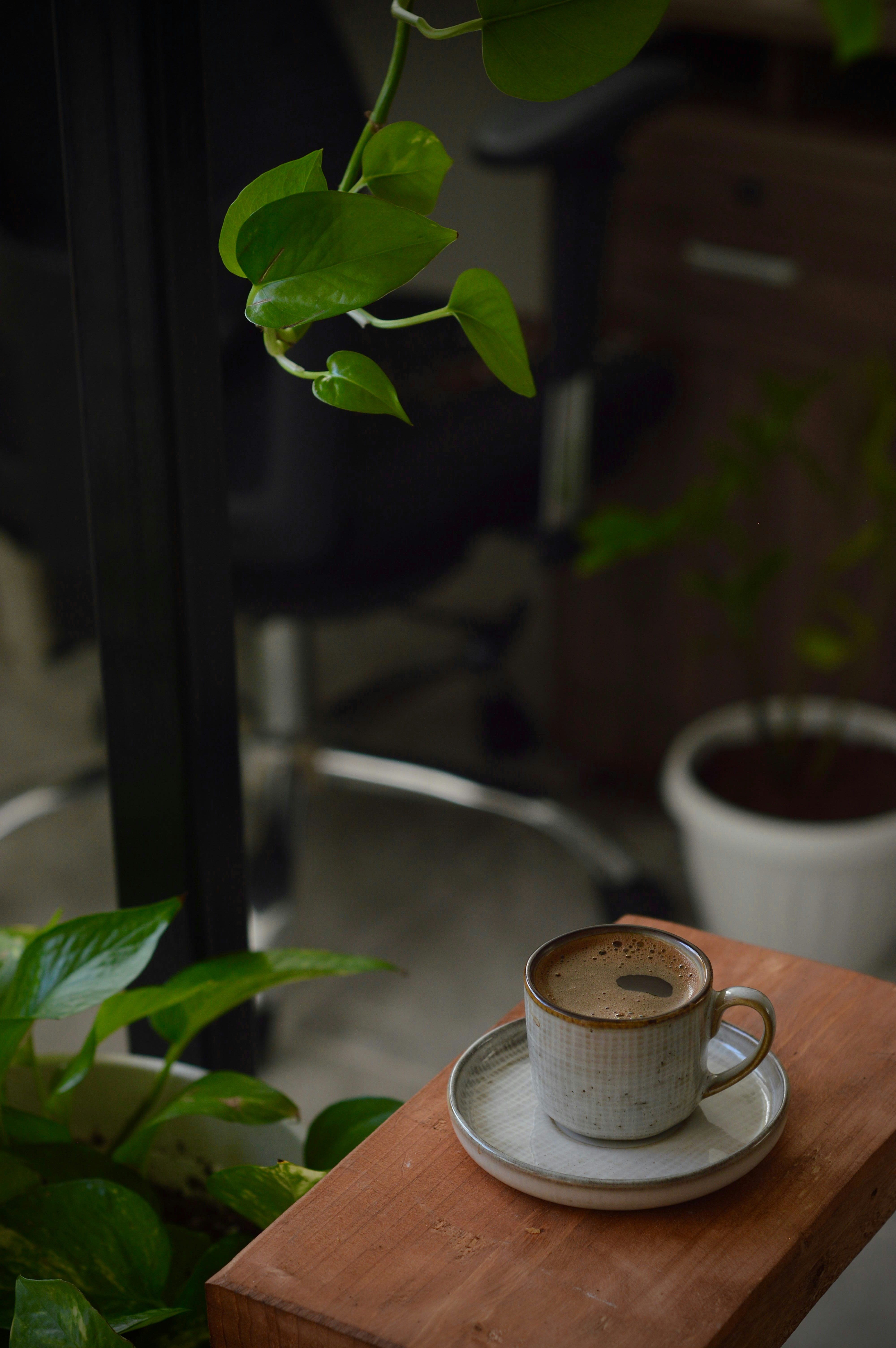 A cup of coffee on a saucer next to a potted plant