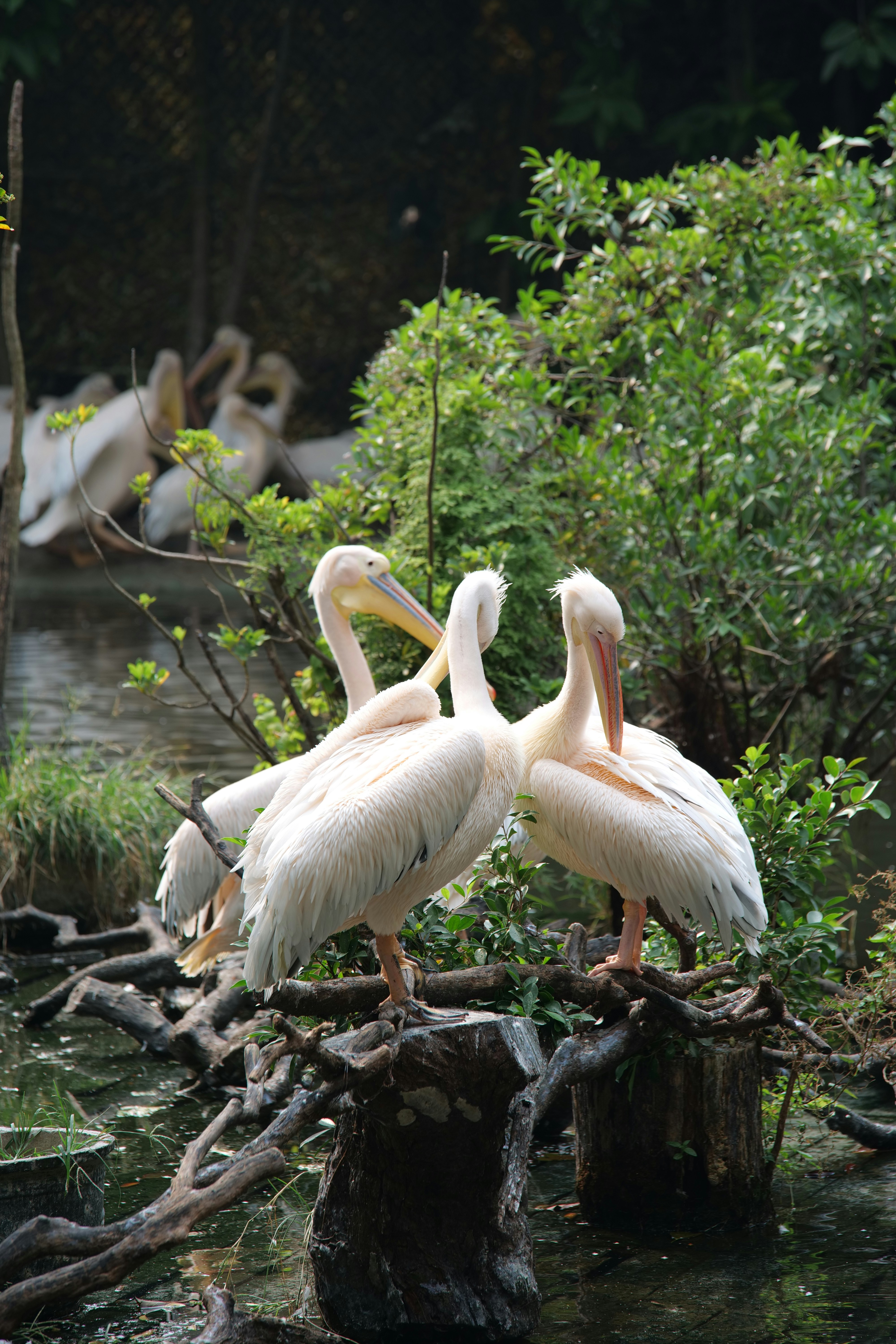 Photo by moyathebunny