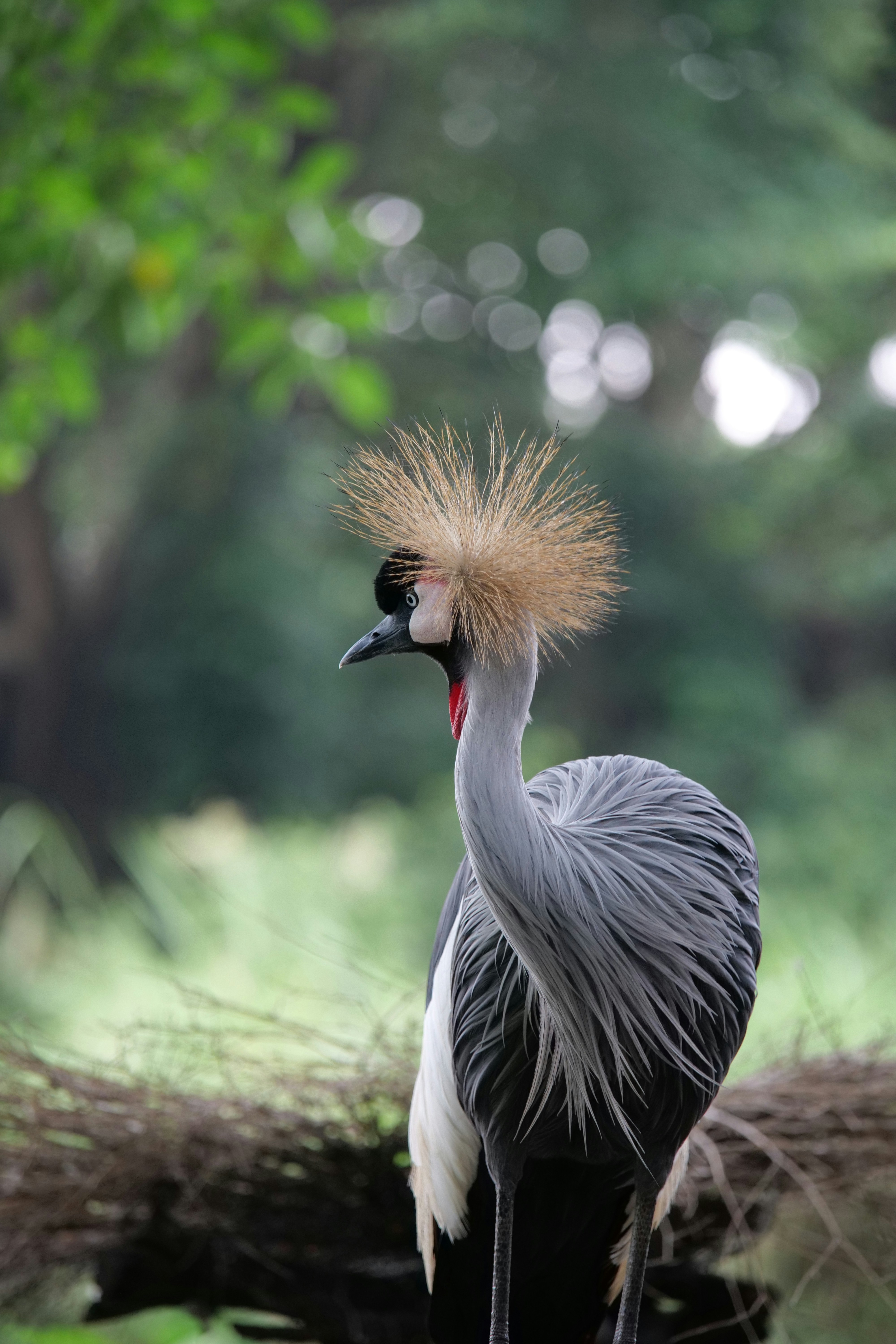 Photo by moyathebunny