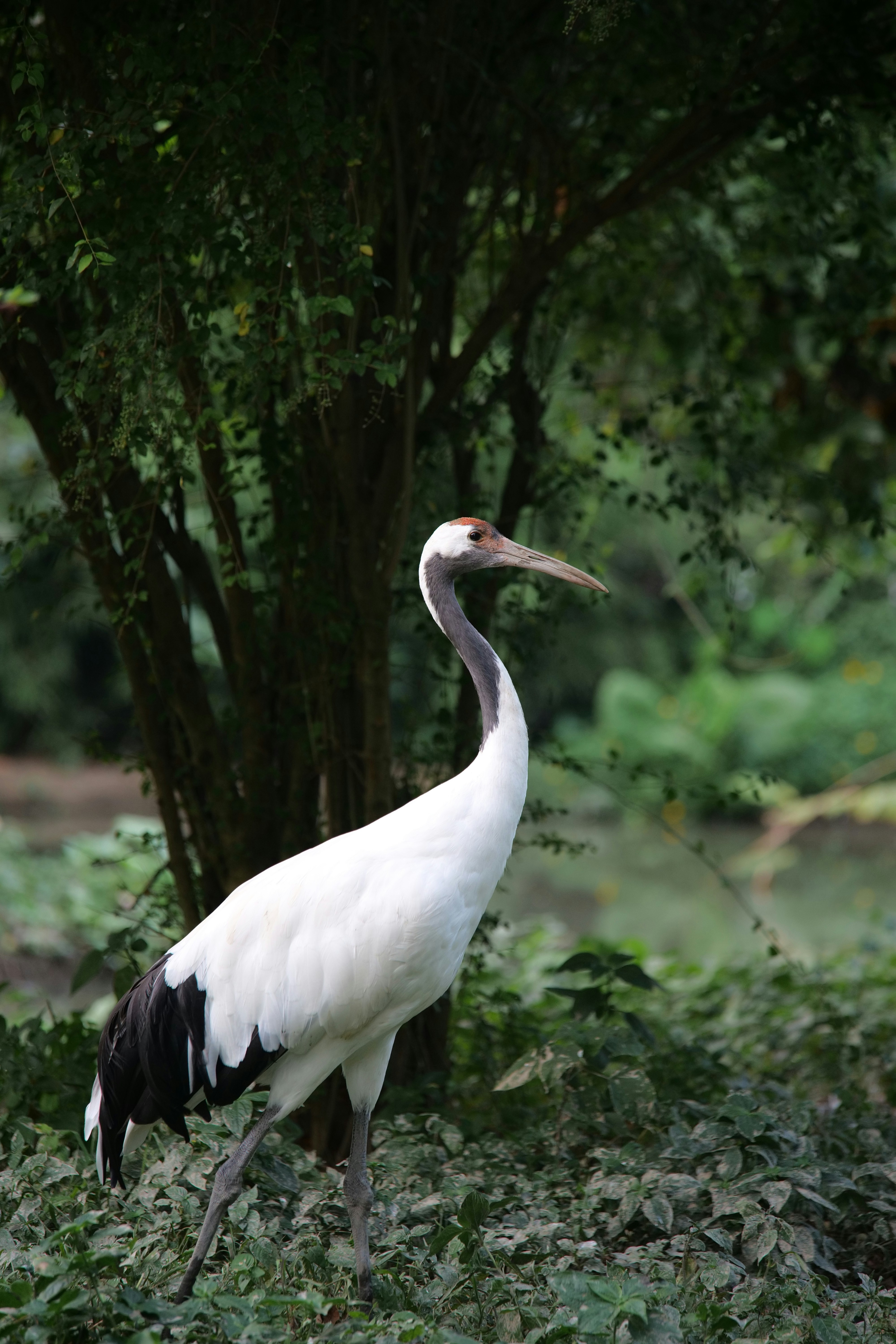 Photo by moyathebunny