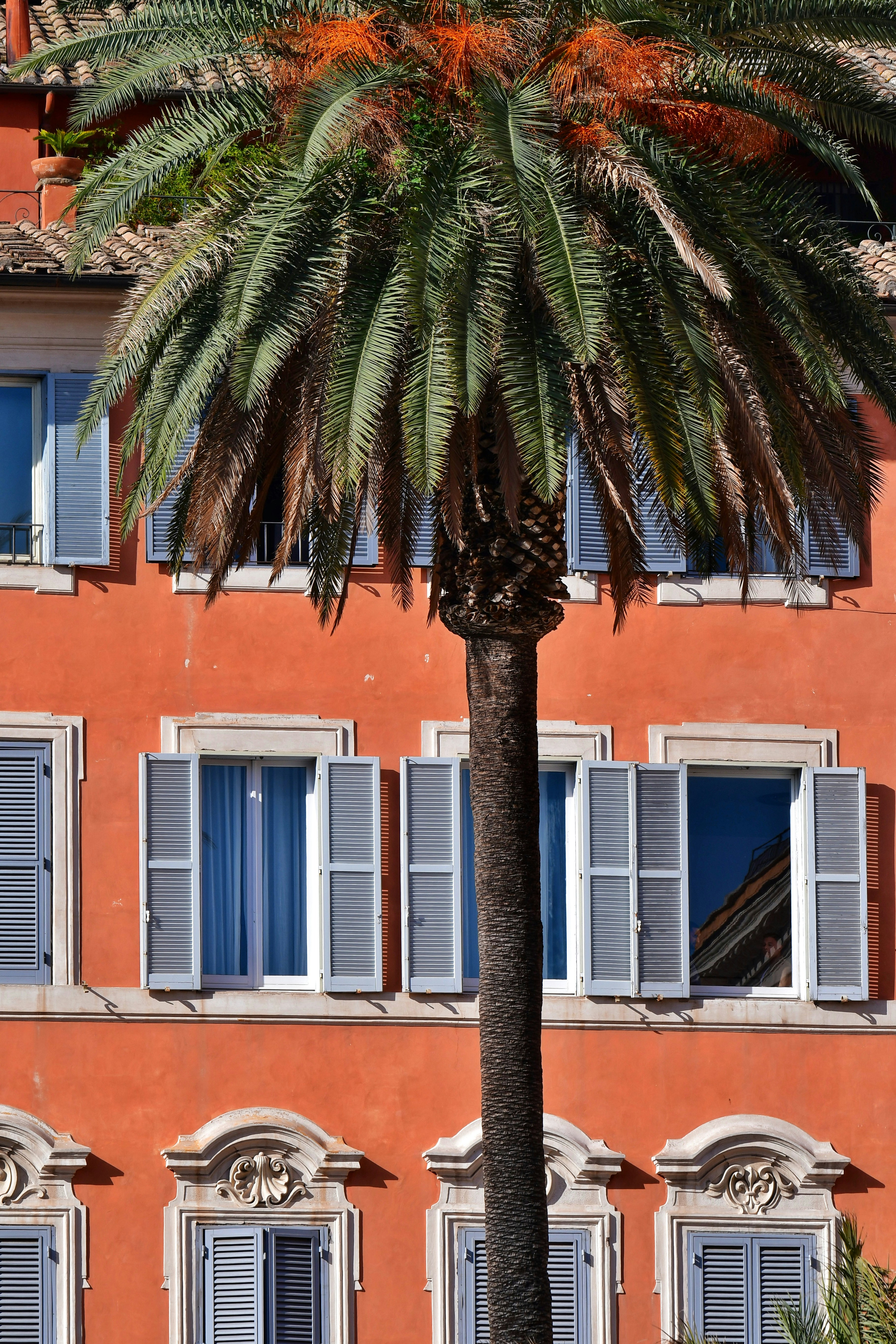 Photo by pedrino5_official