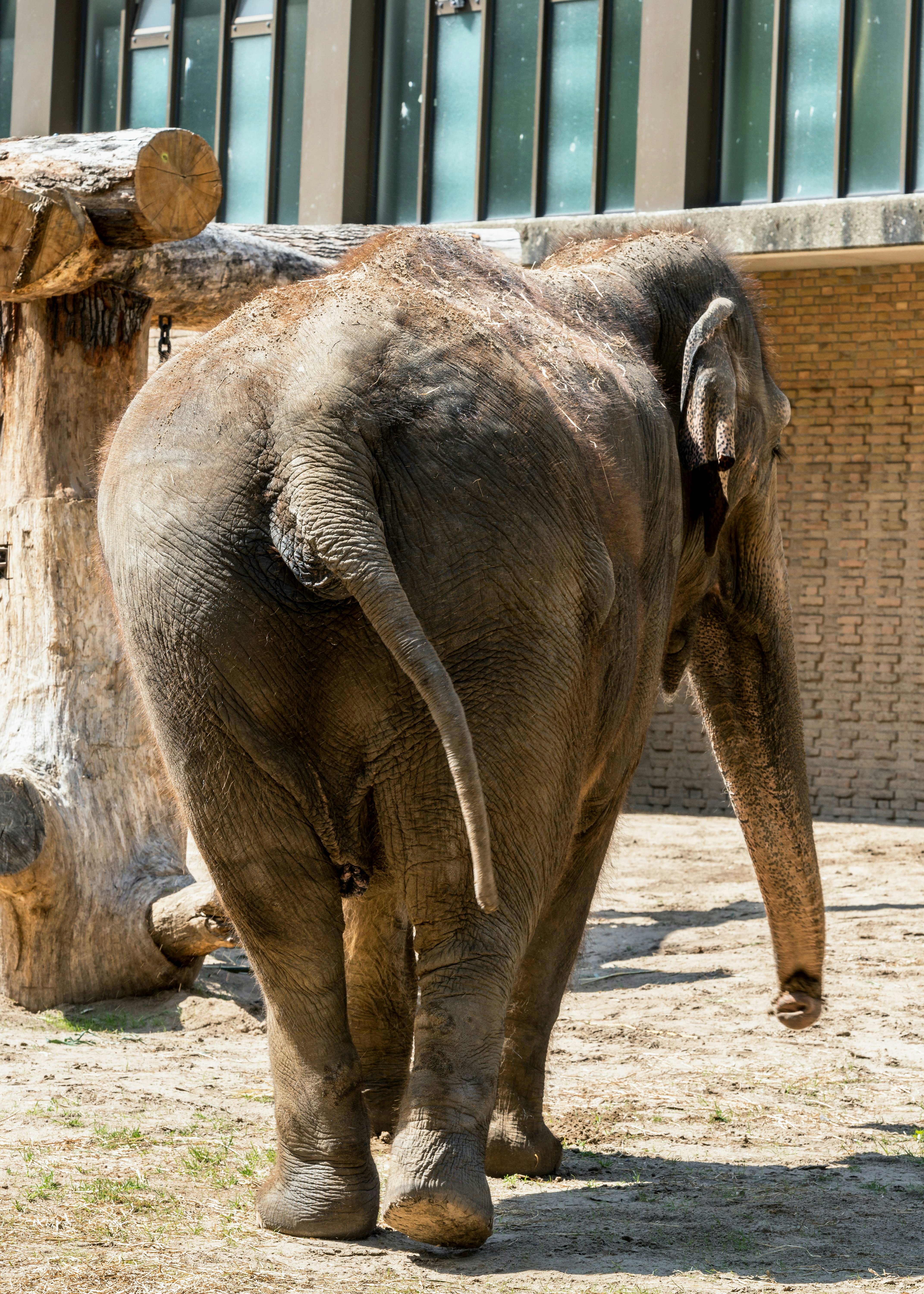 Photo by hamburgmeinefreundin