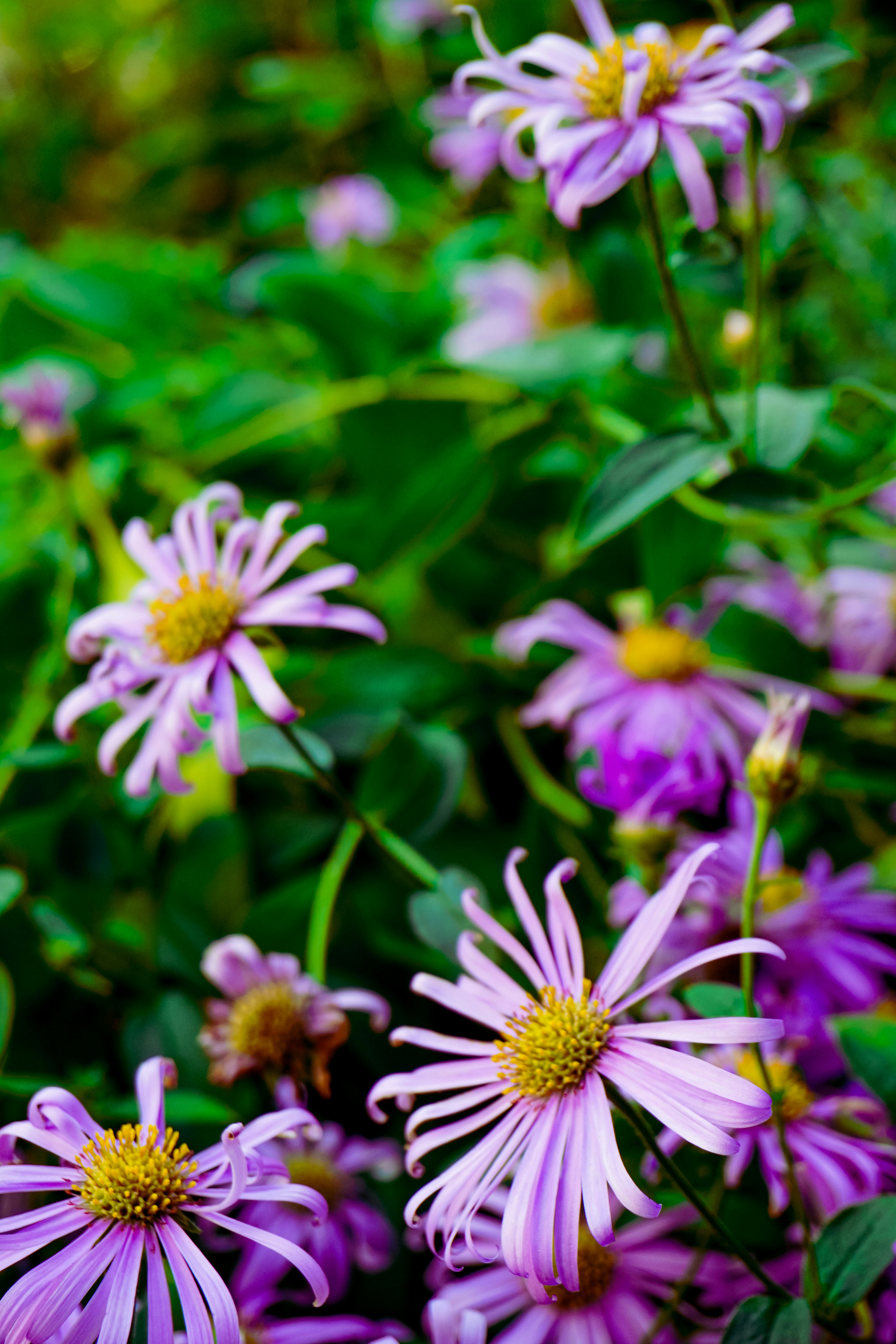 Photo by sens_frames