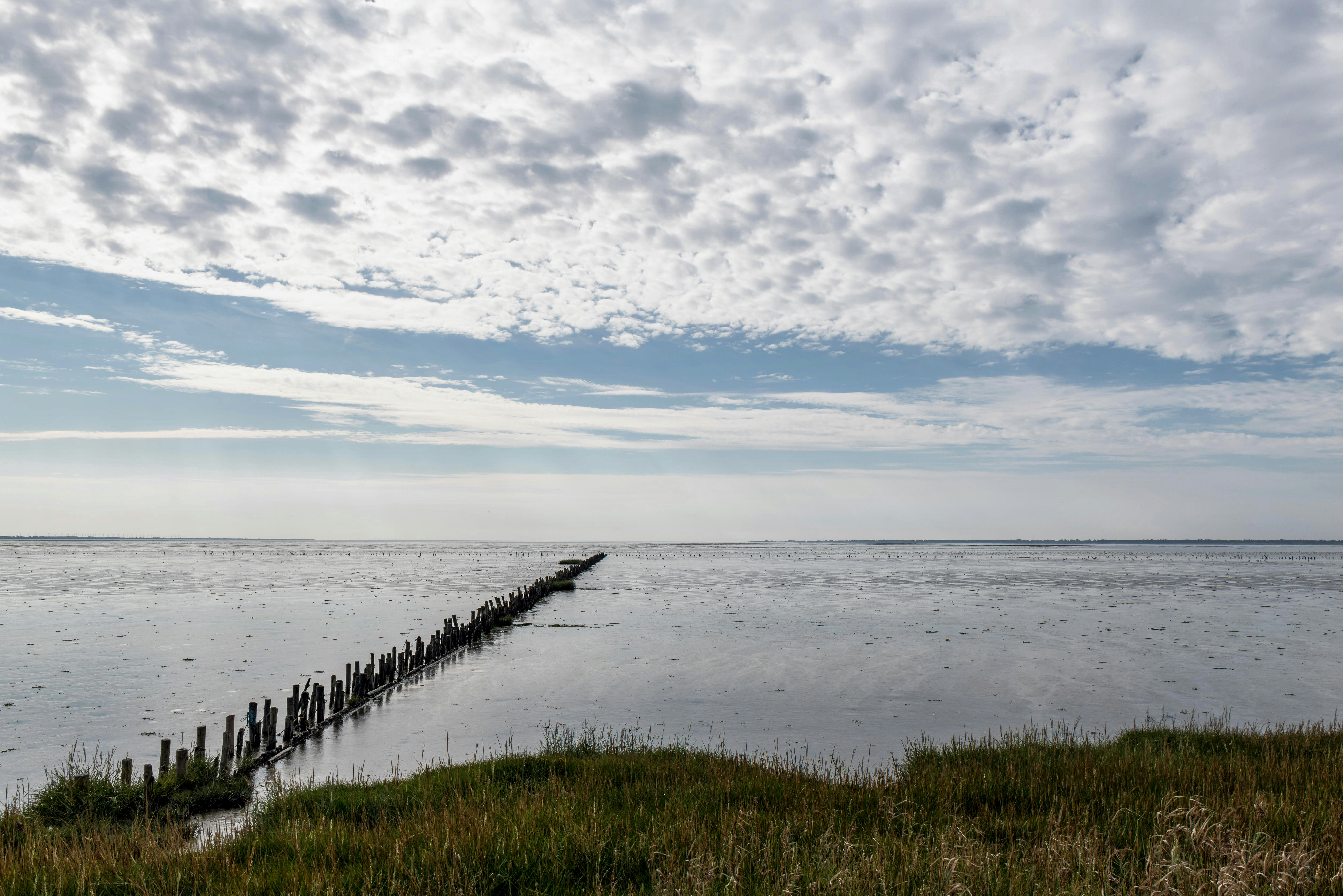 Photo by hamburgmeinefreundin