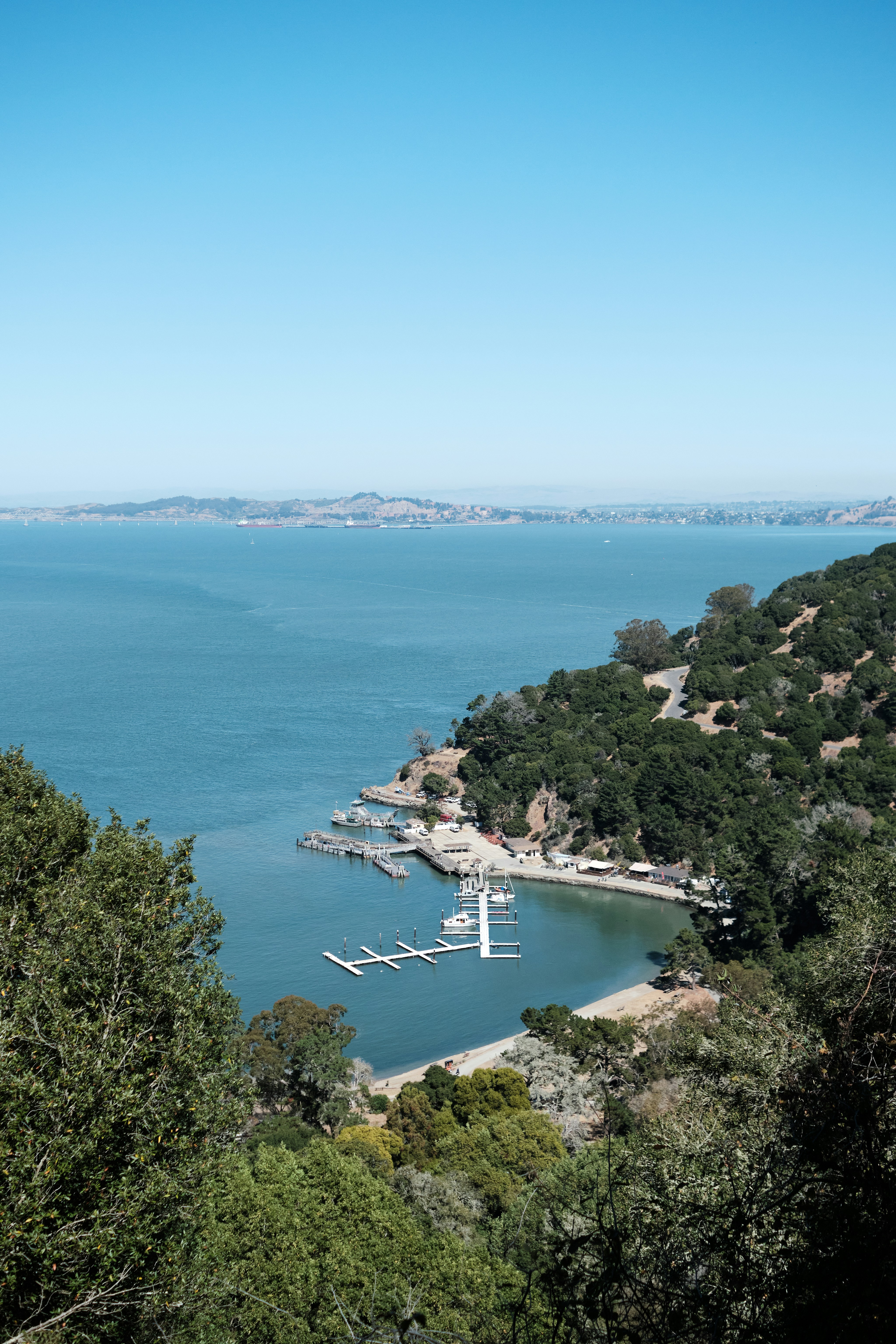 A large body of water surrounded by trees