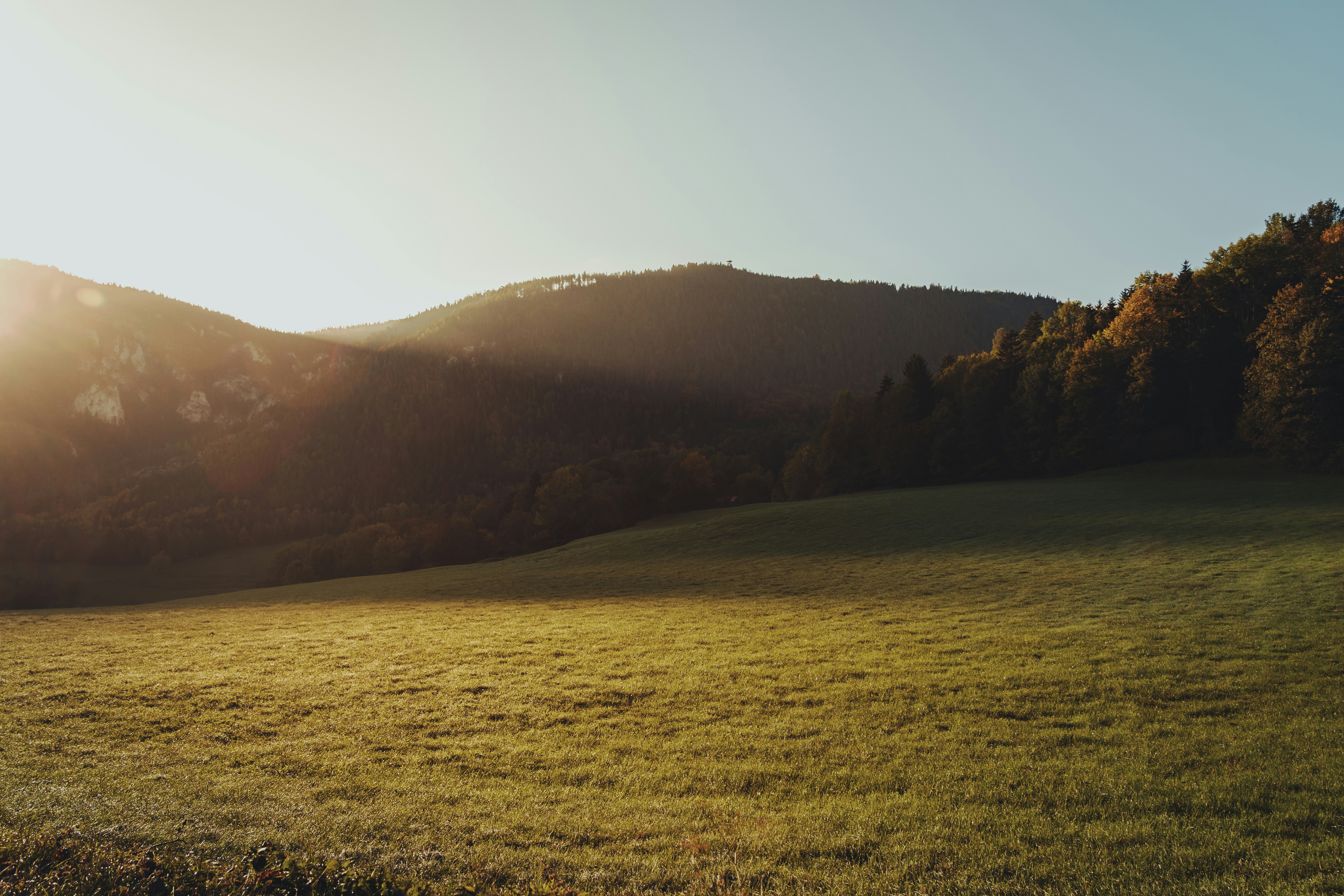 Photo by pino_rumbero