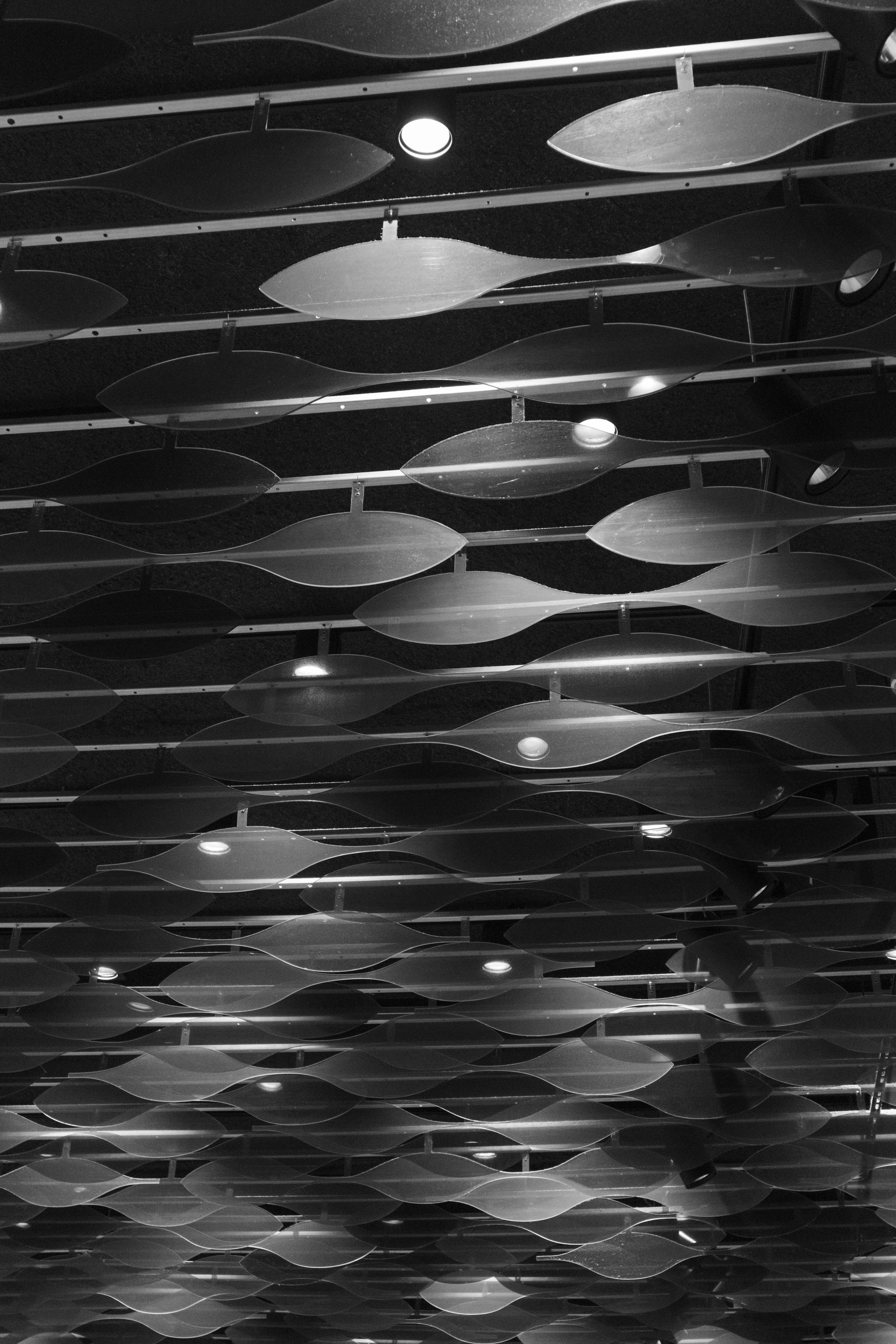 Photo by filipenobre