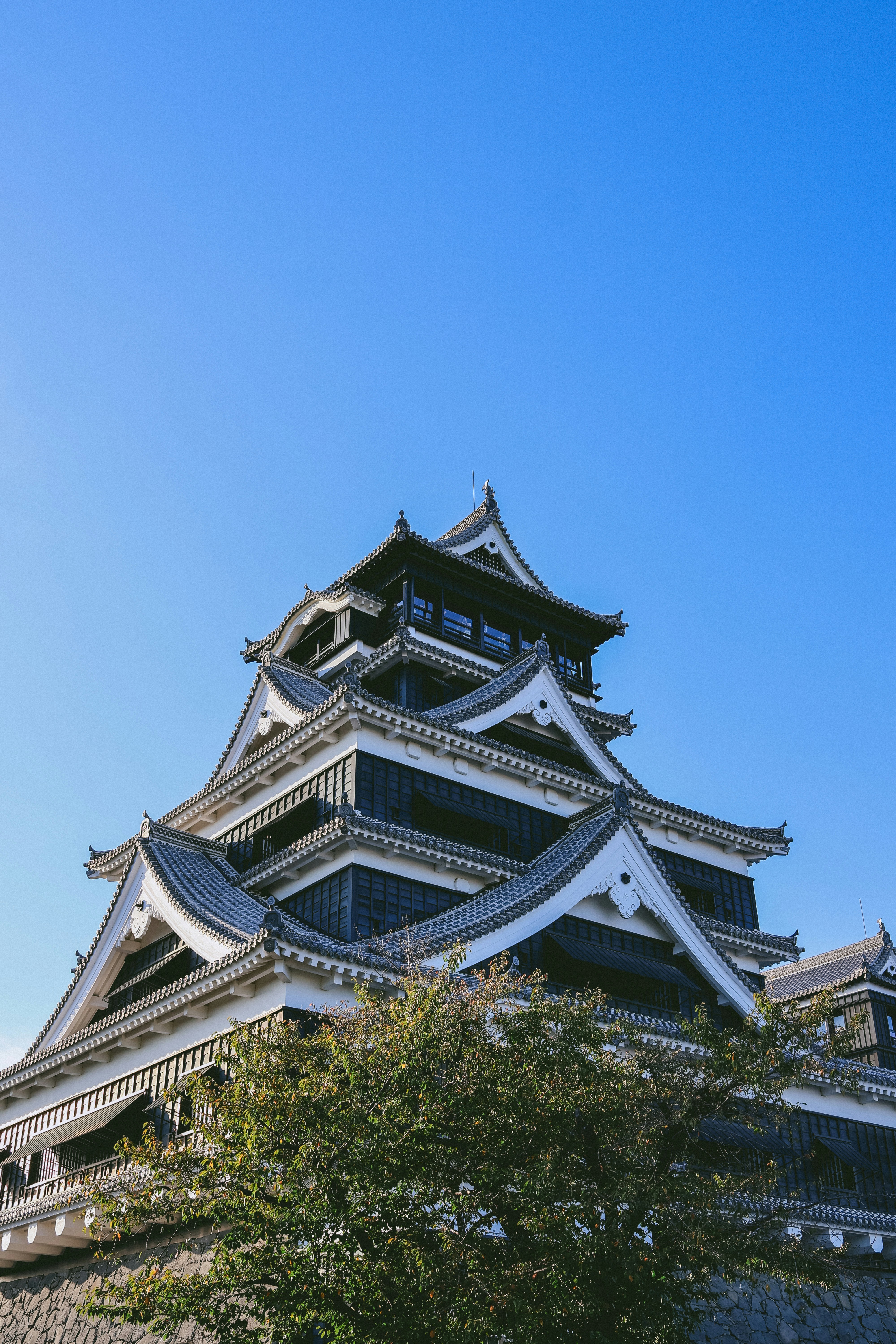 Photo by floatflower