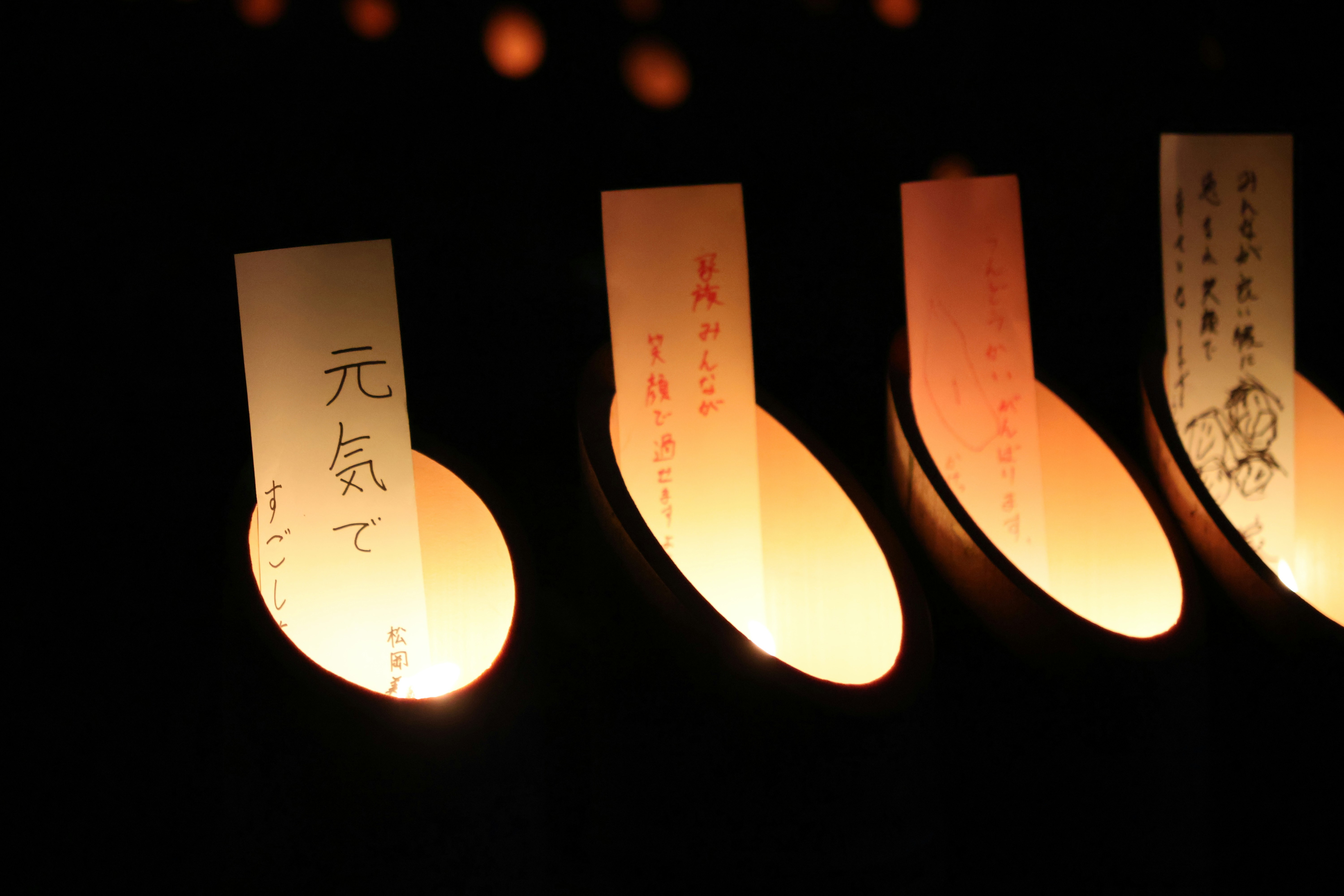 Fireflies in Satoyama night