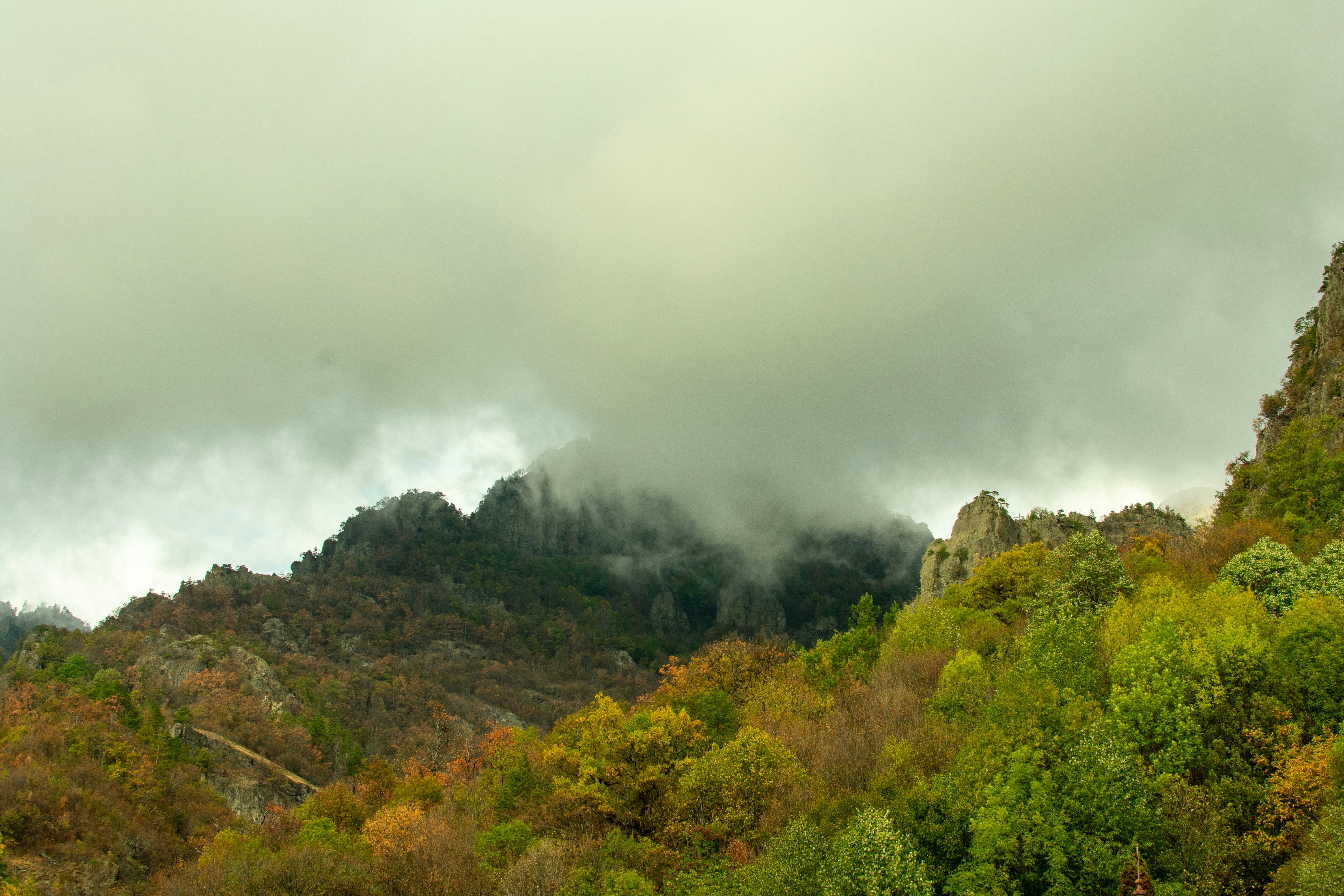 Image by Mircea Solomiea via Unsplash