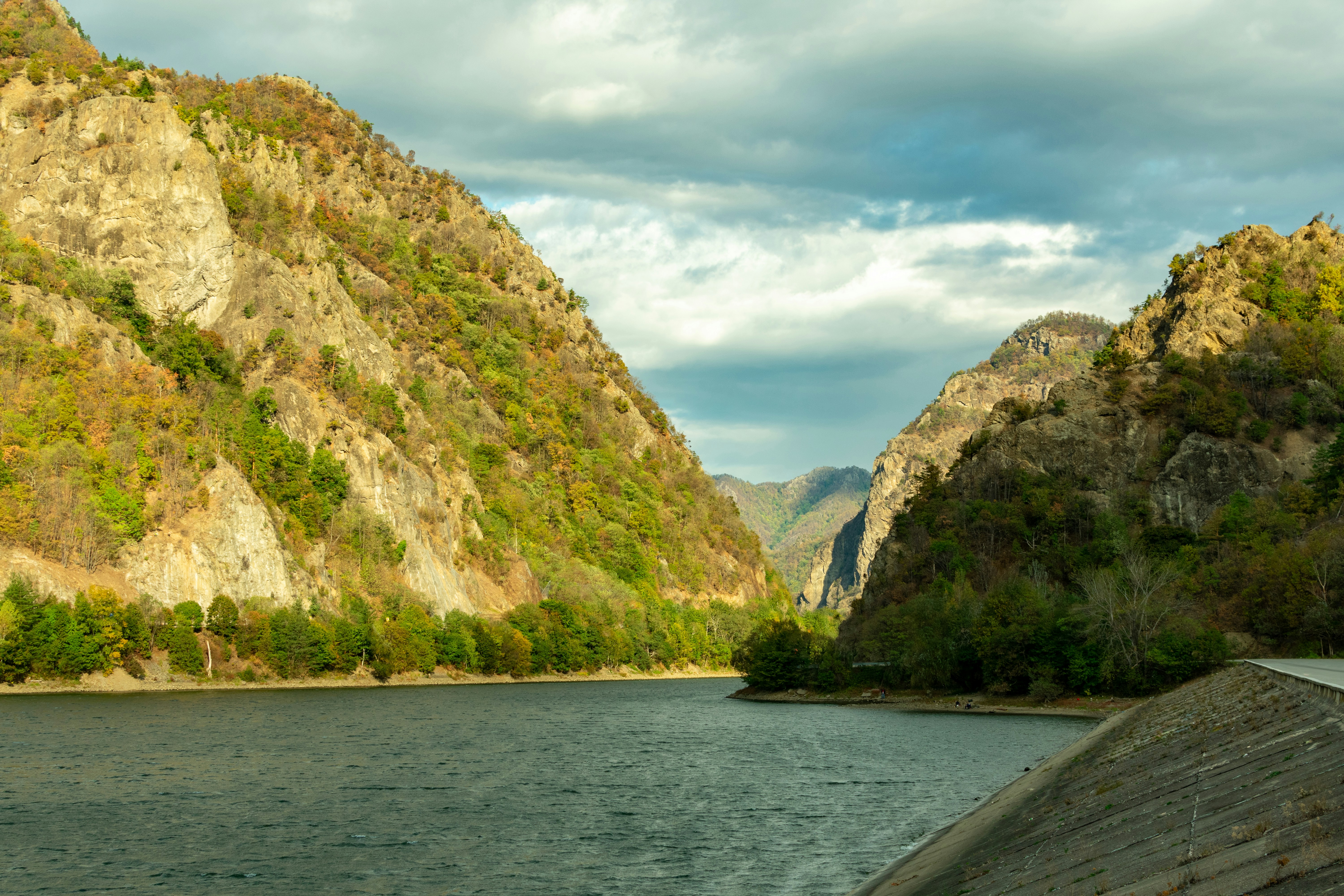 Photo by mirceadrian