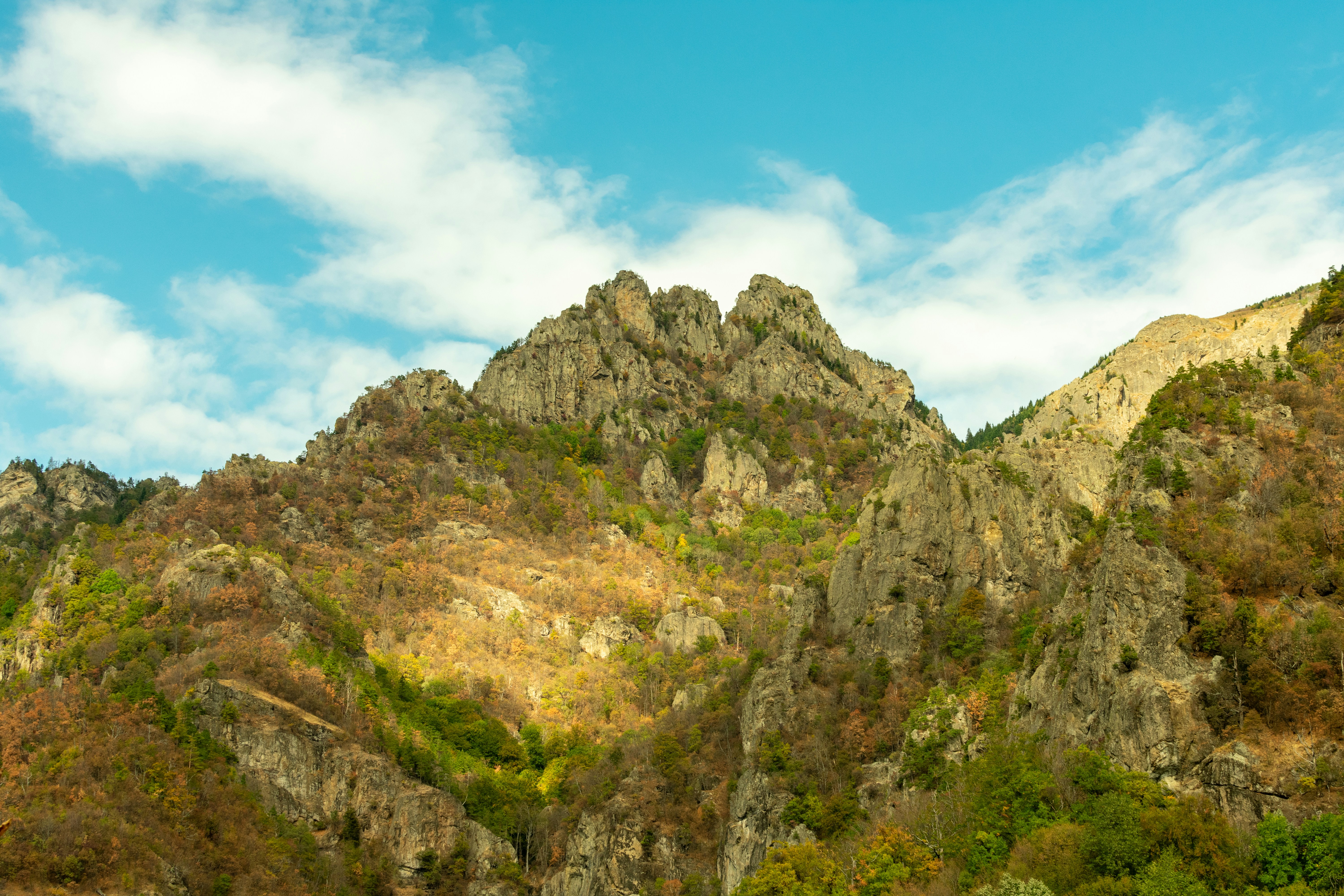 Photo by mirceadrian