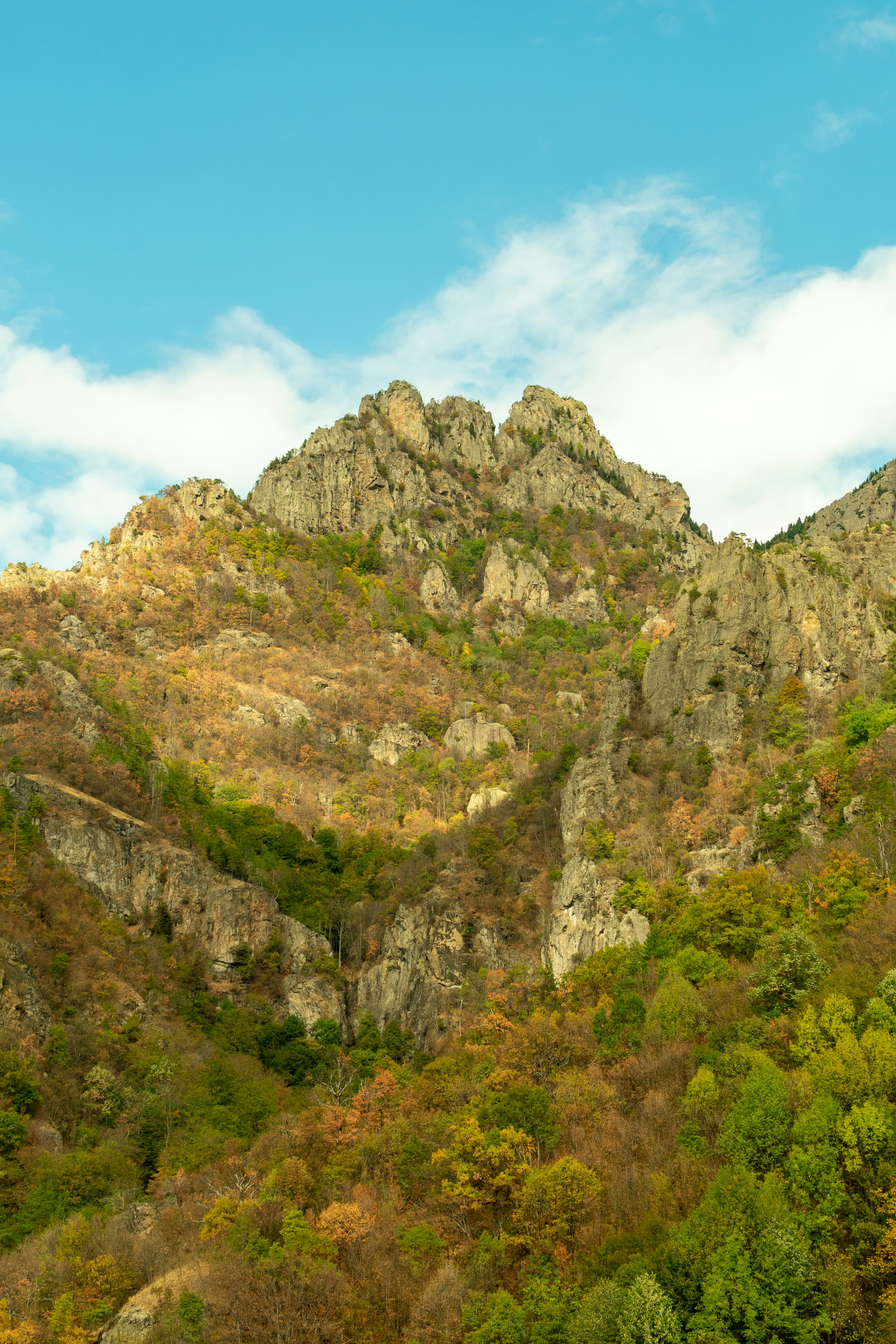 Photo by mirceadrian