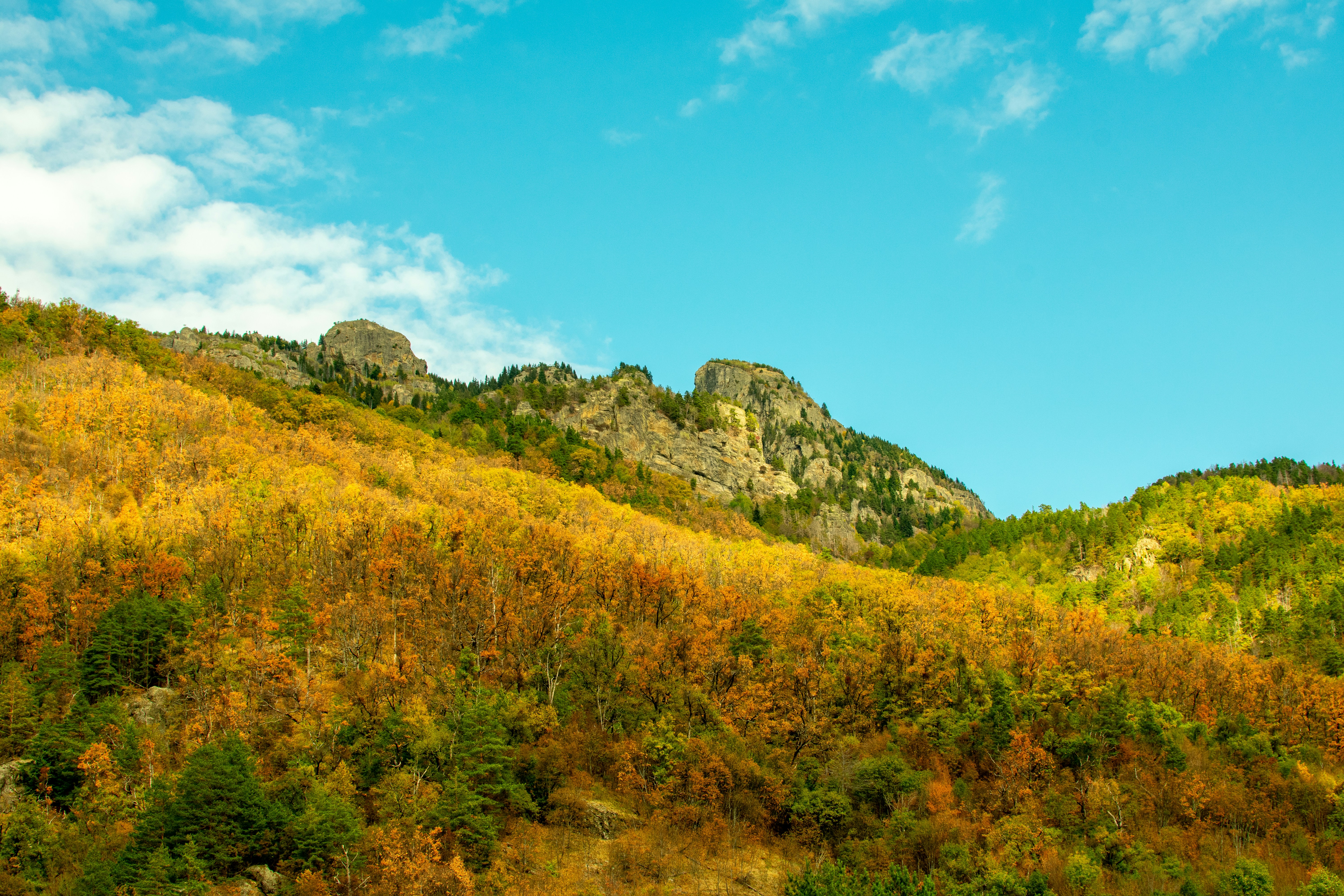 Photo by mirceadrian