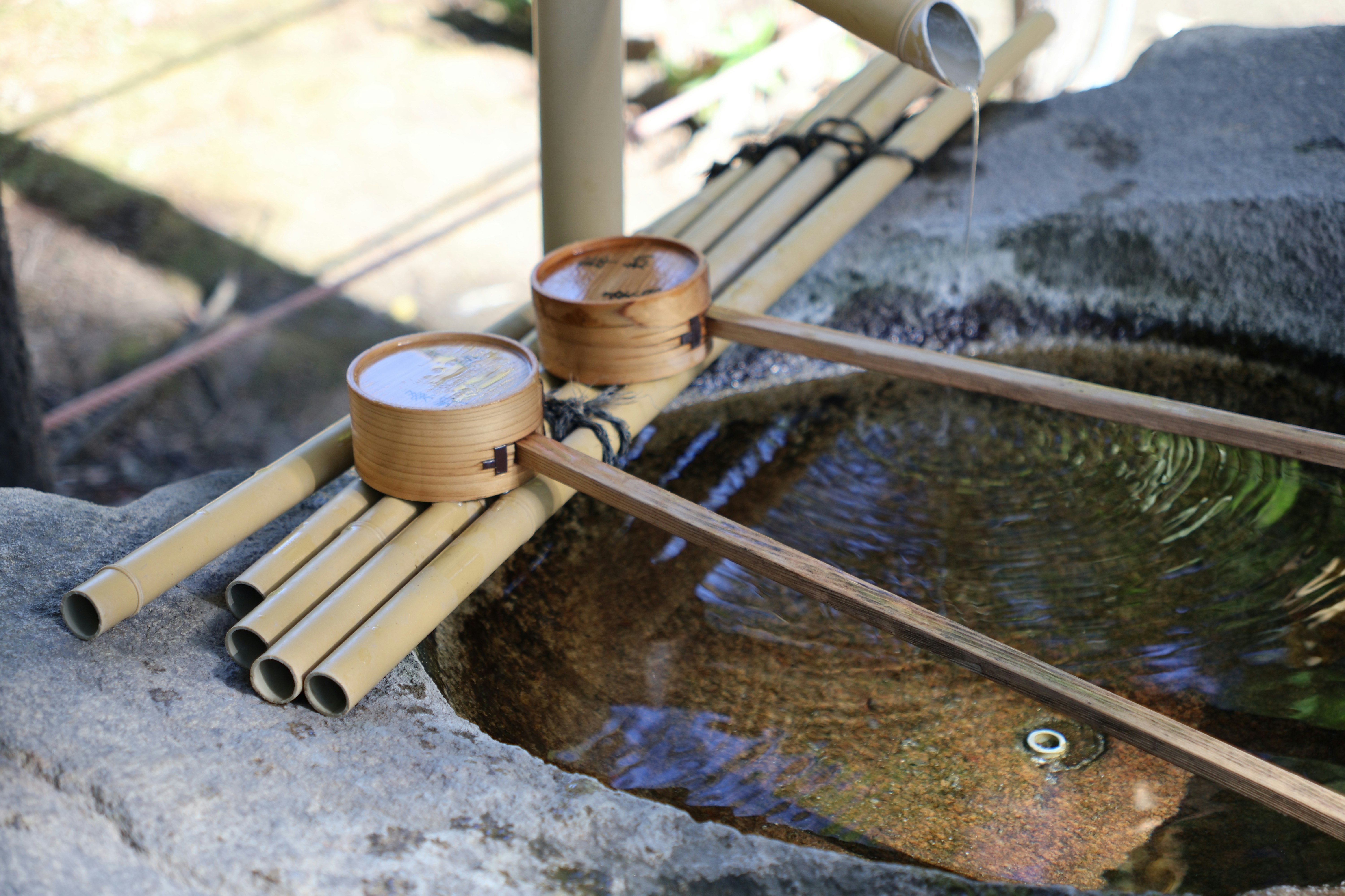 Photo by floatflower