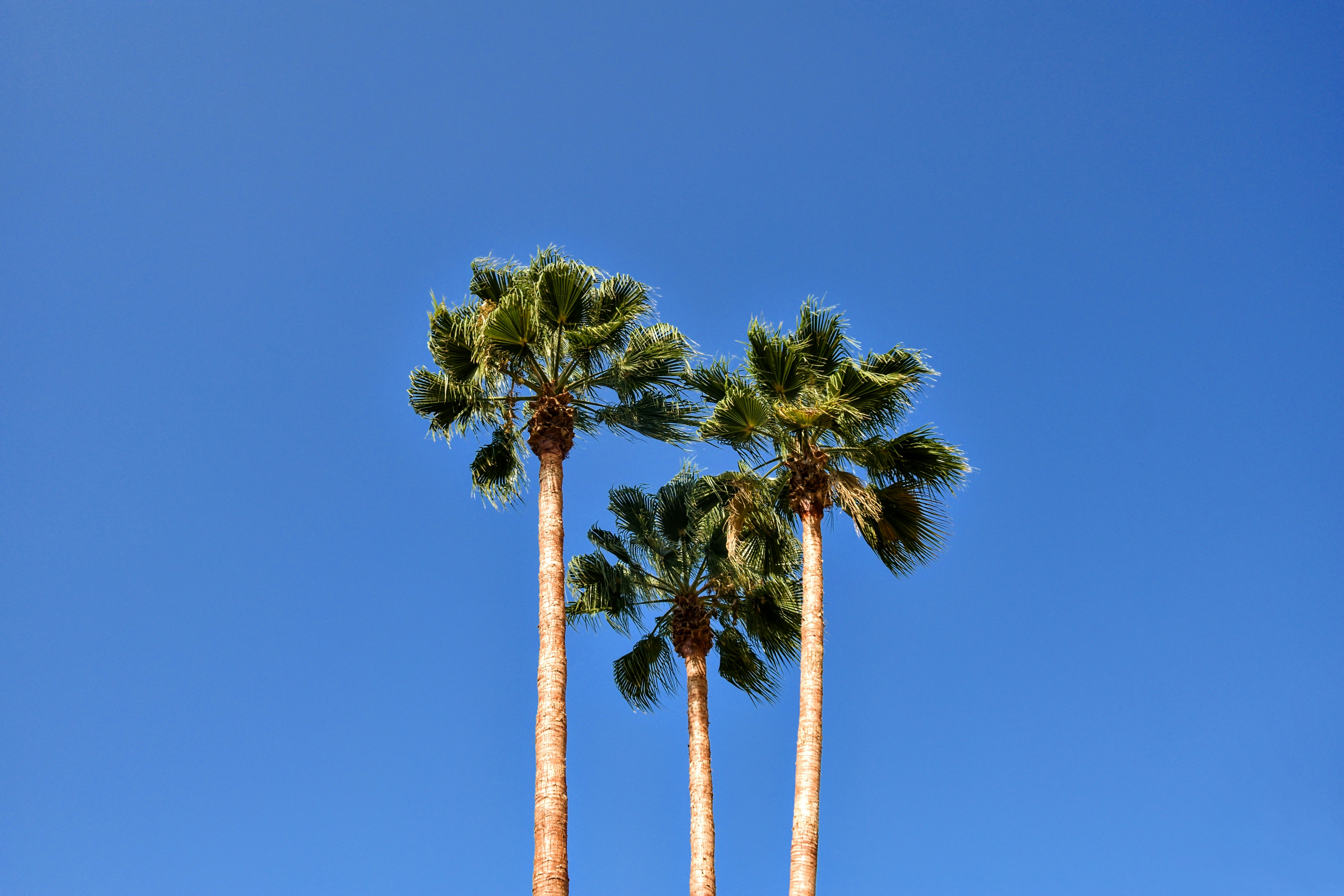 Photo by simonwiedensohler