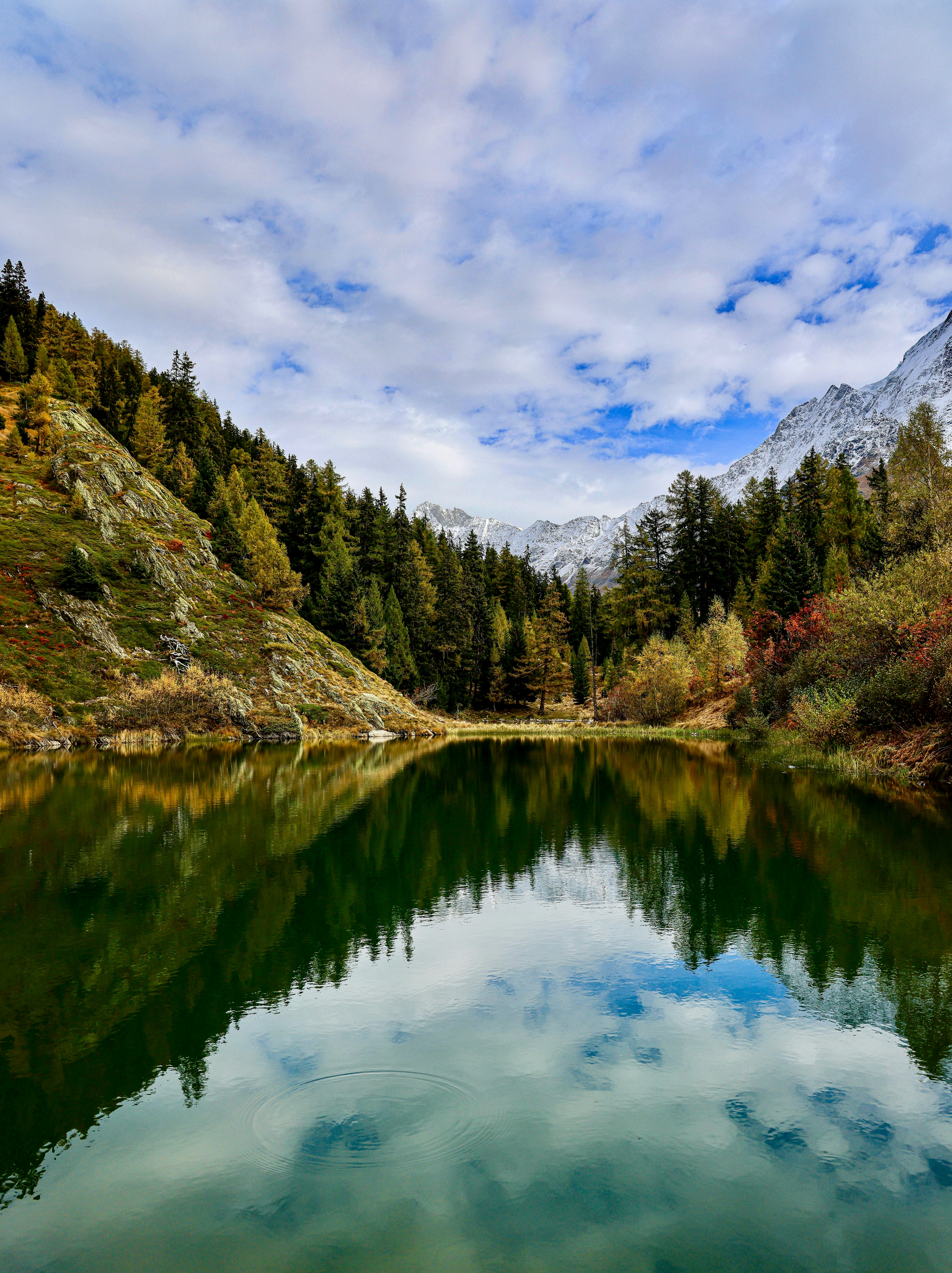 Photo by maximilian_brand