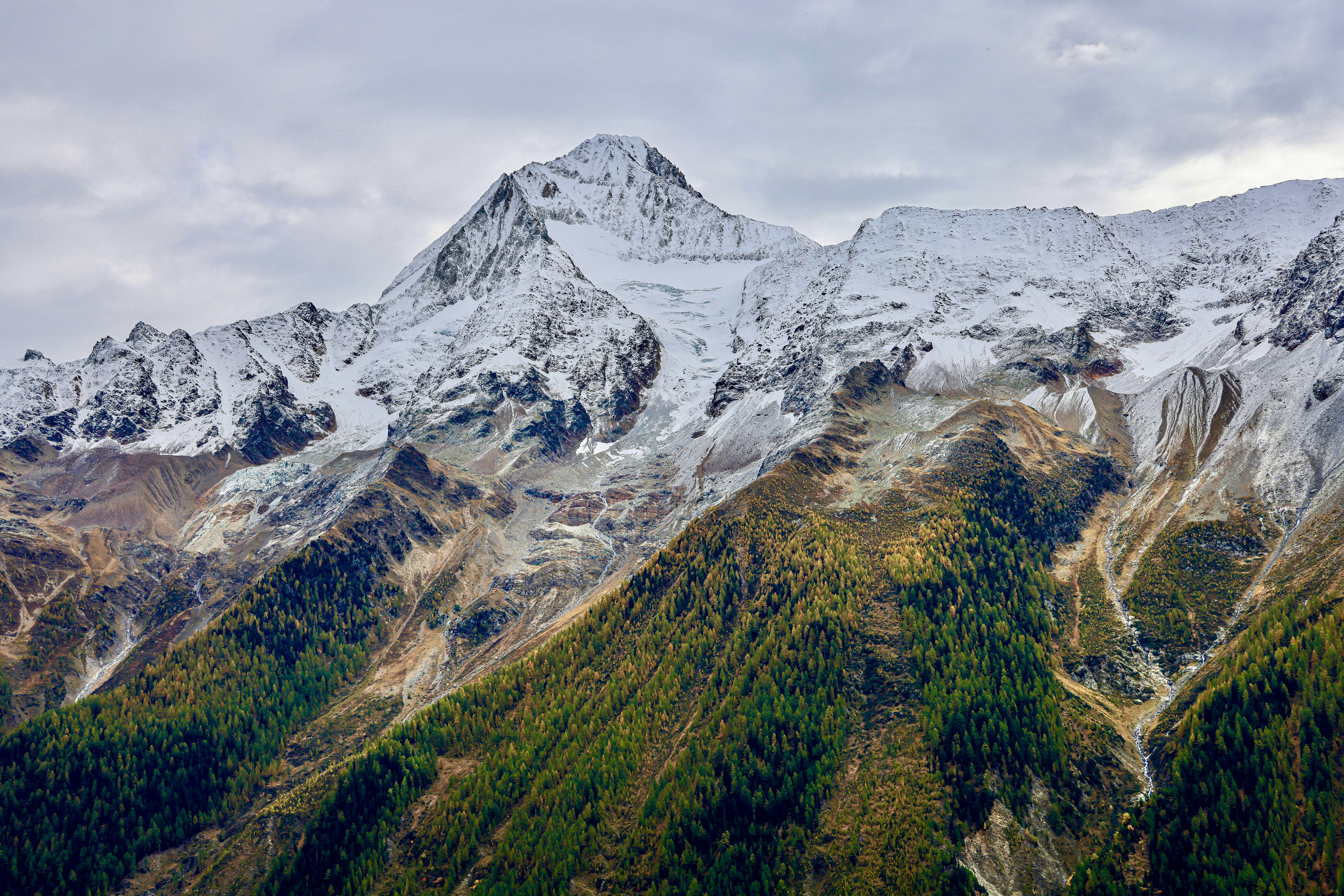 Photo by maximilian_brand