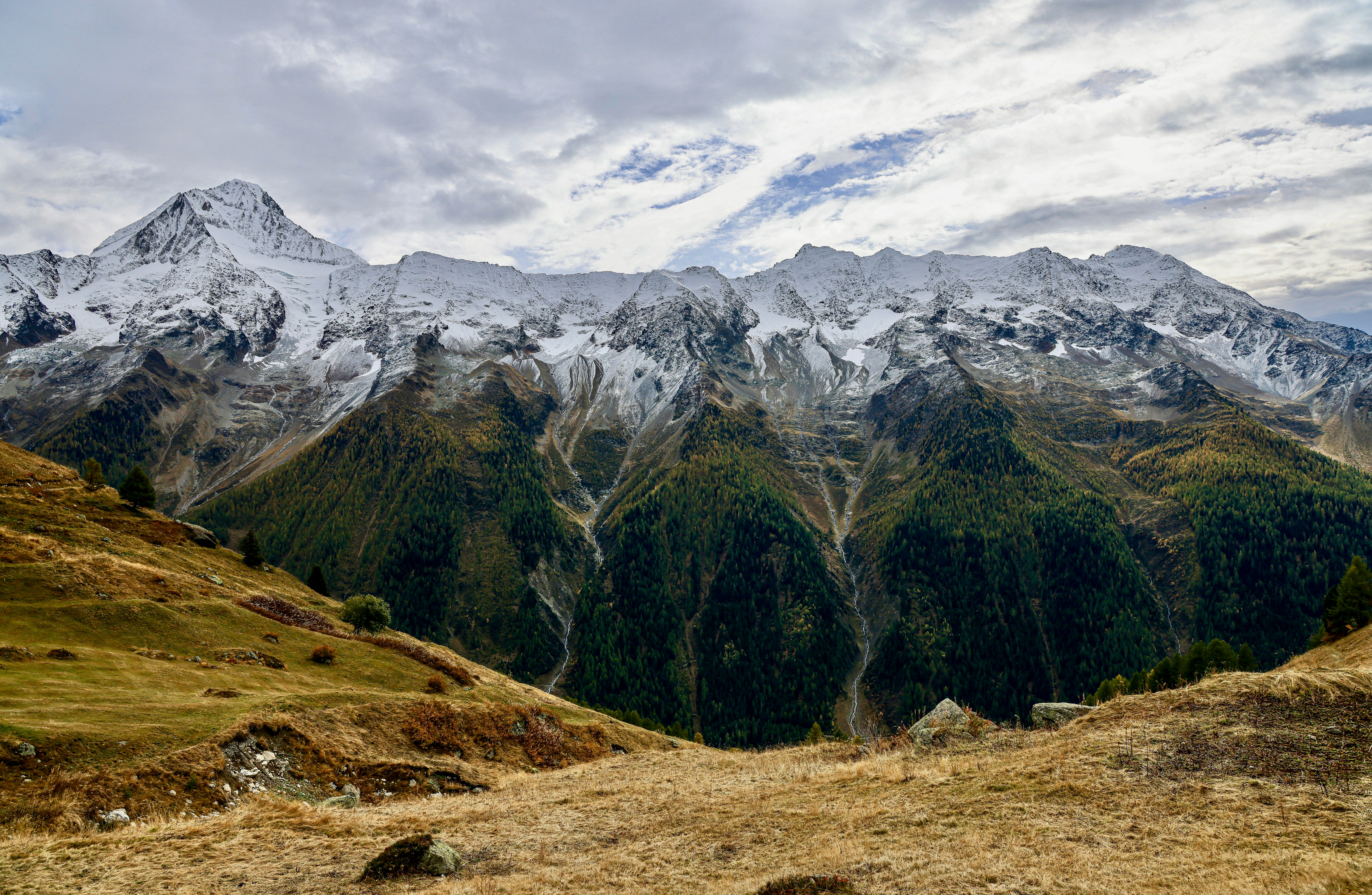 Photo by maximilian_brand