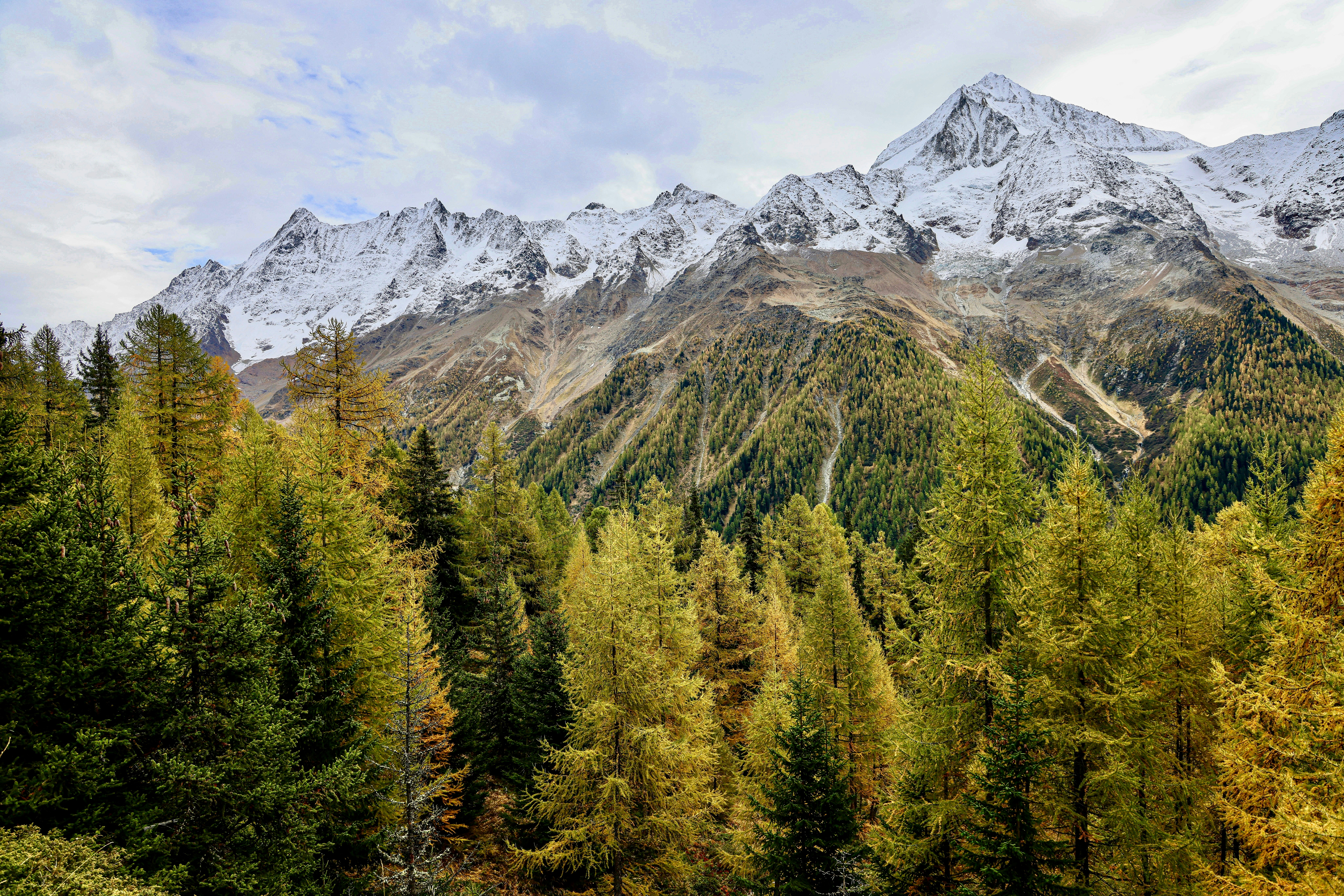 Photo by maximilian_brand