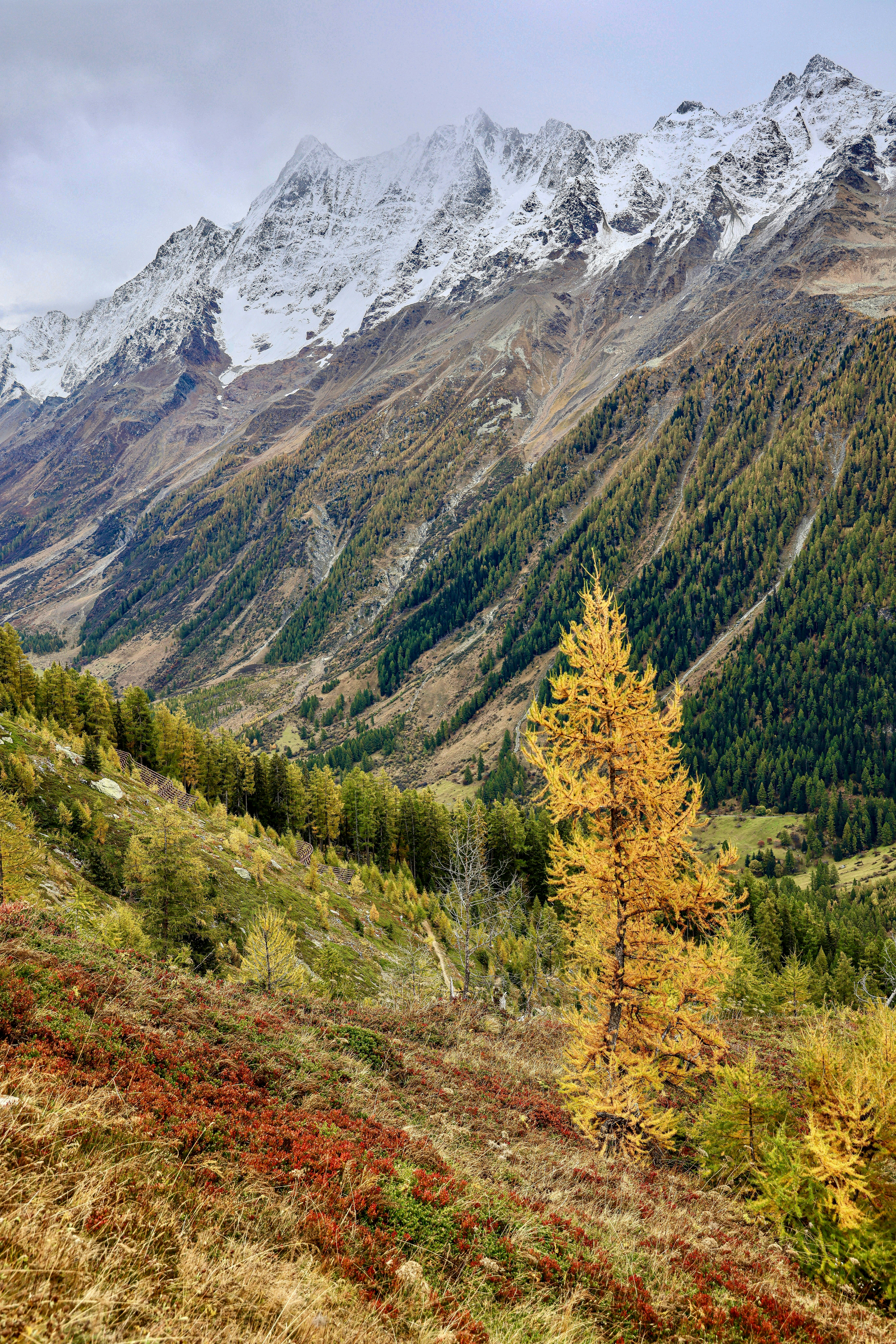 Photo by maximilian_brand