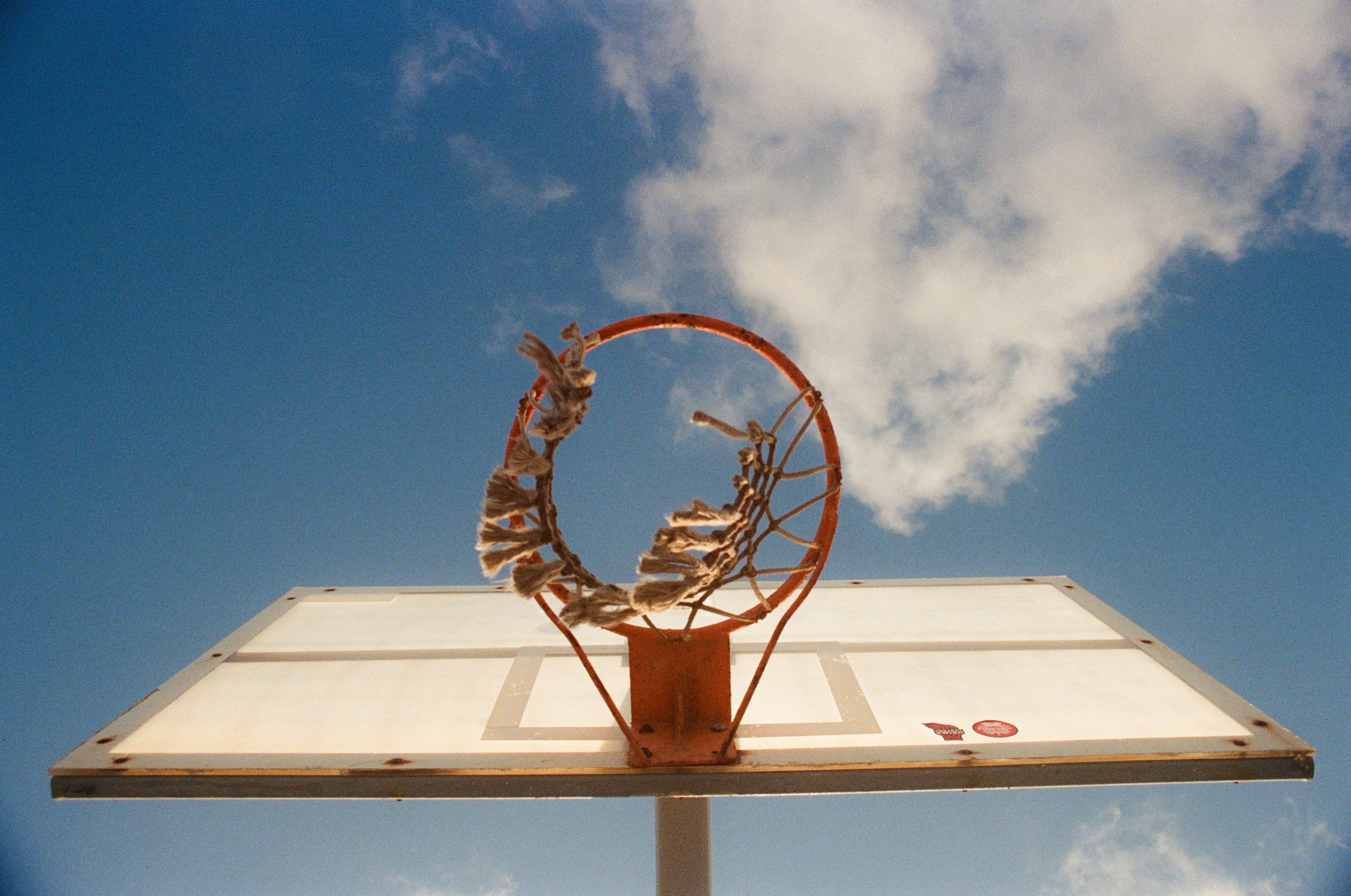 A basketball hoop with a snake on top of it, 