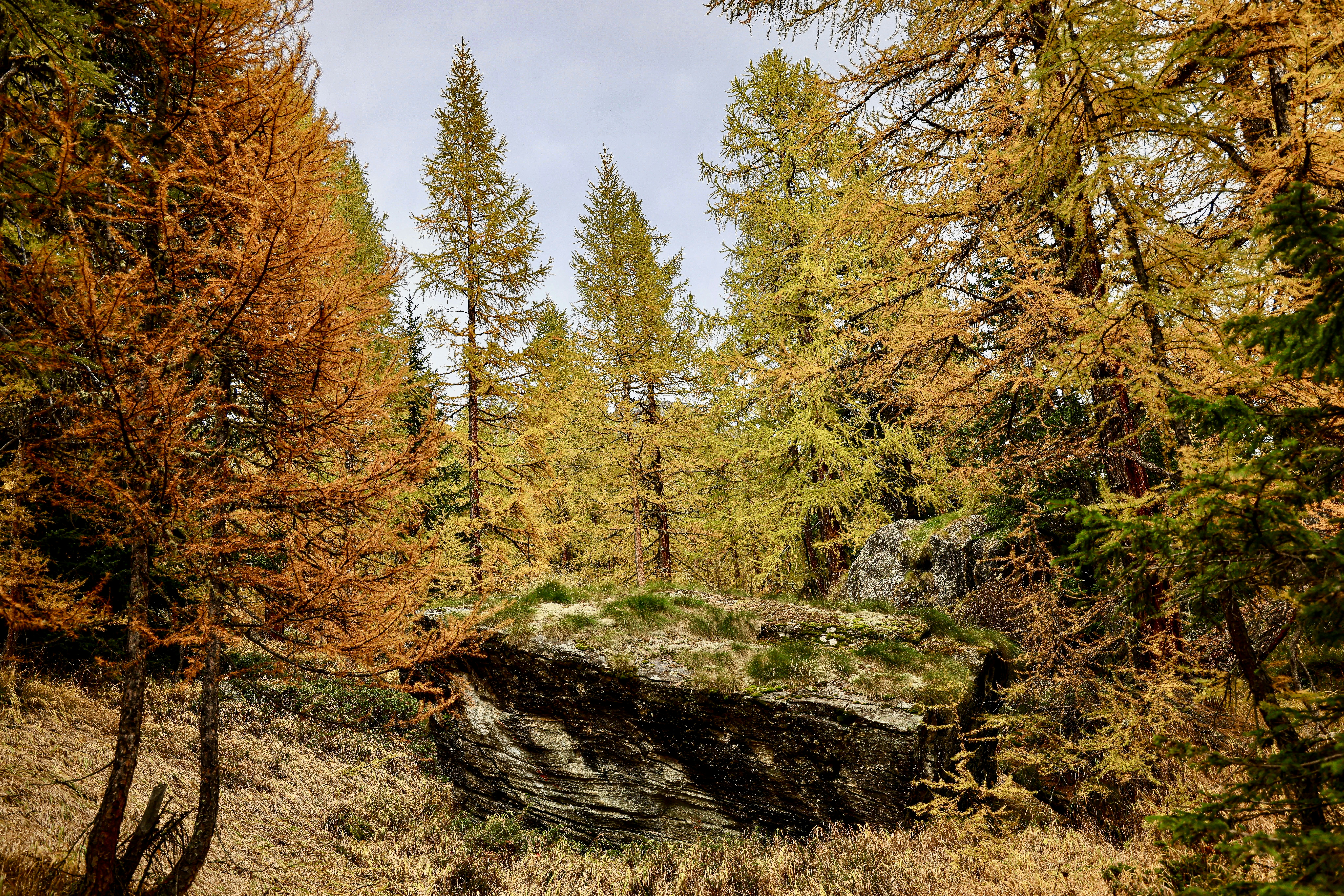 Photo by maximilian_brand