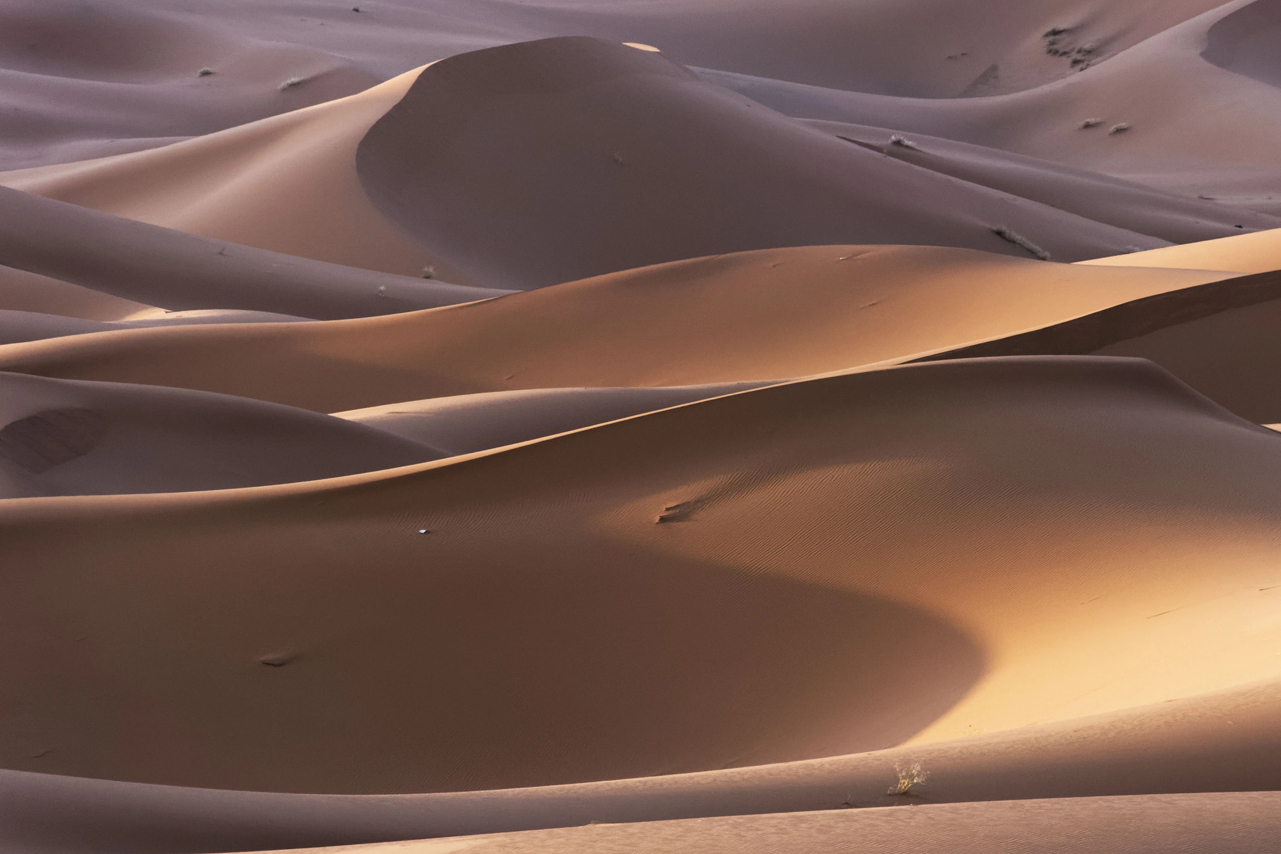 Merzouga Sahara dunes in Morocco