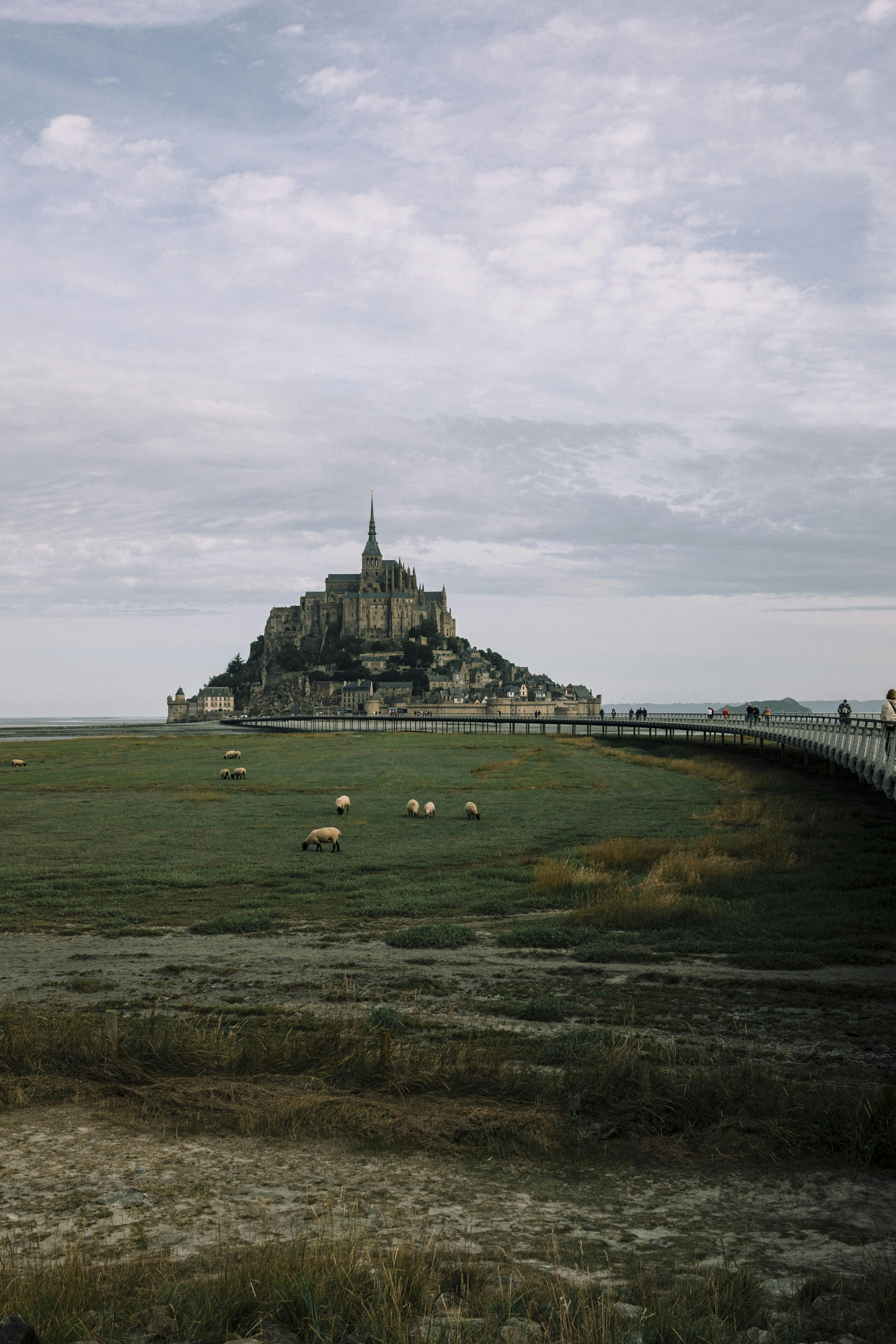 Photo by i_am_simoesse