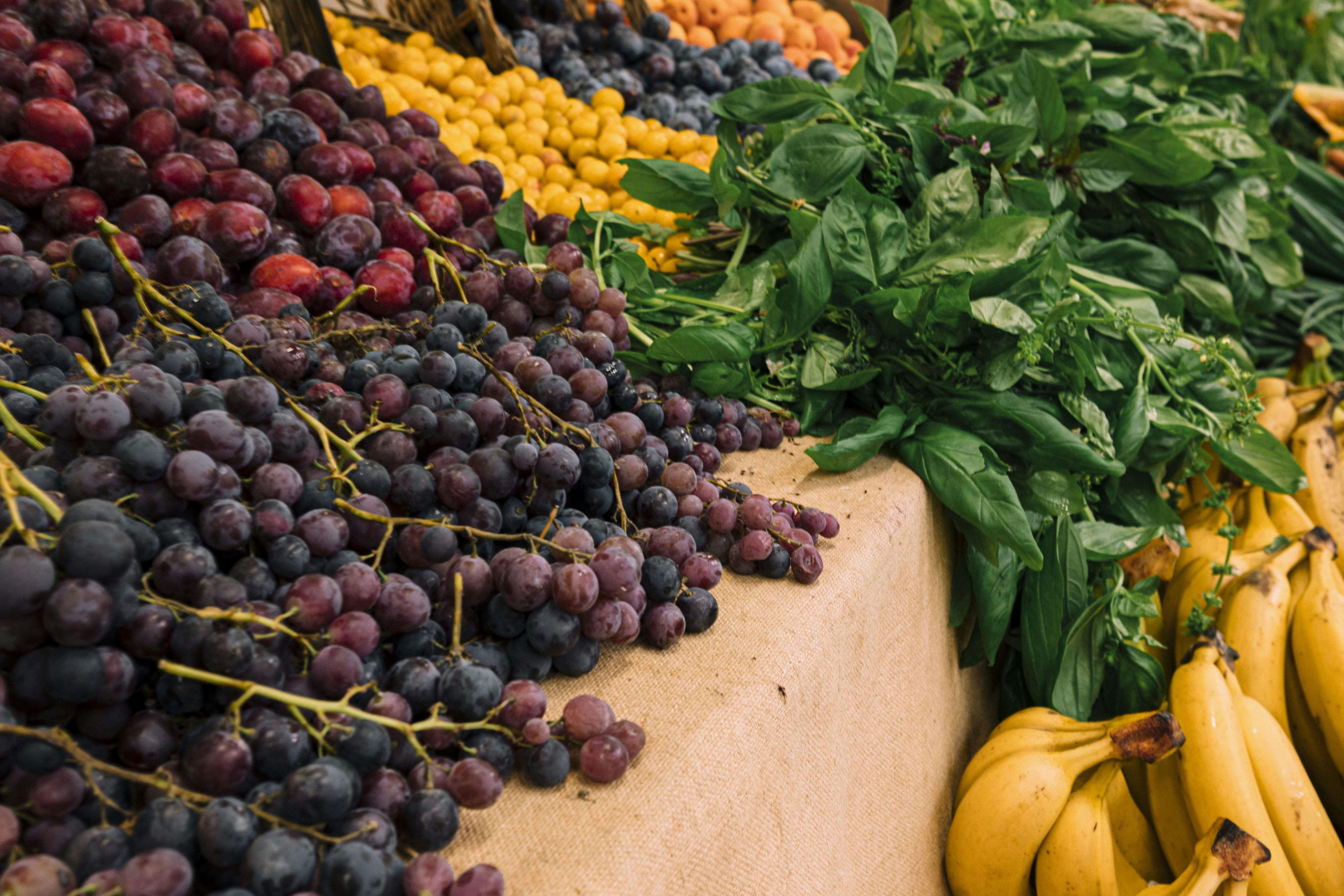 Photo by i_am_simoesse