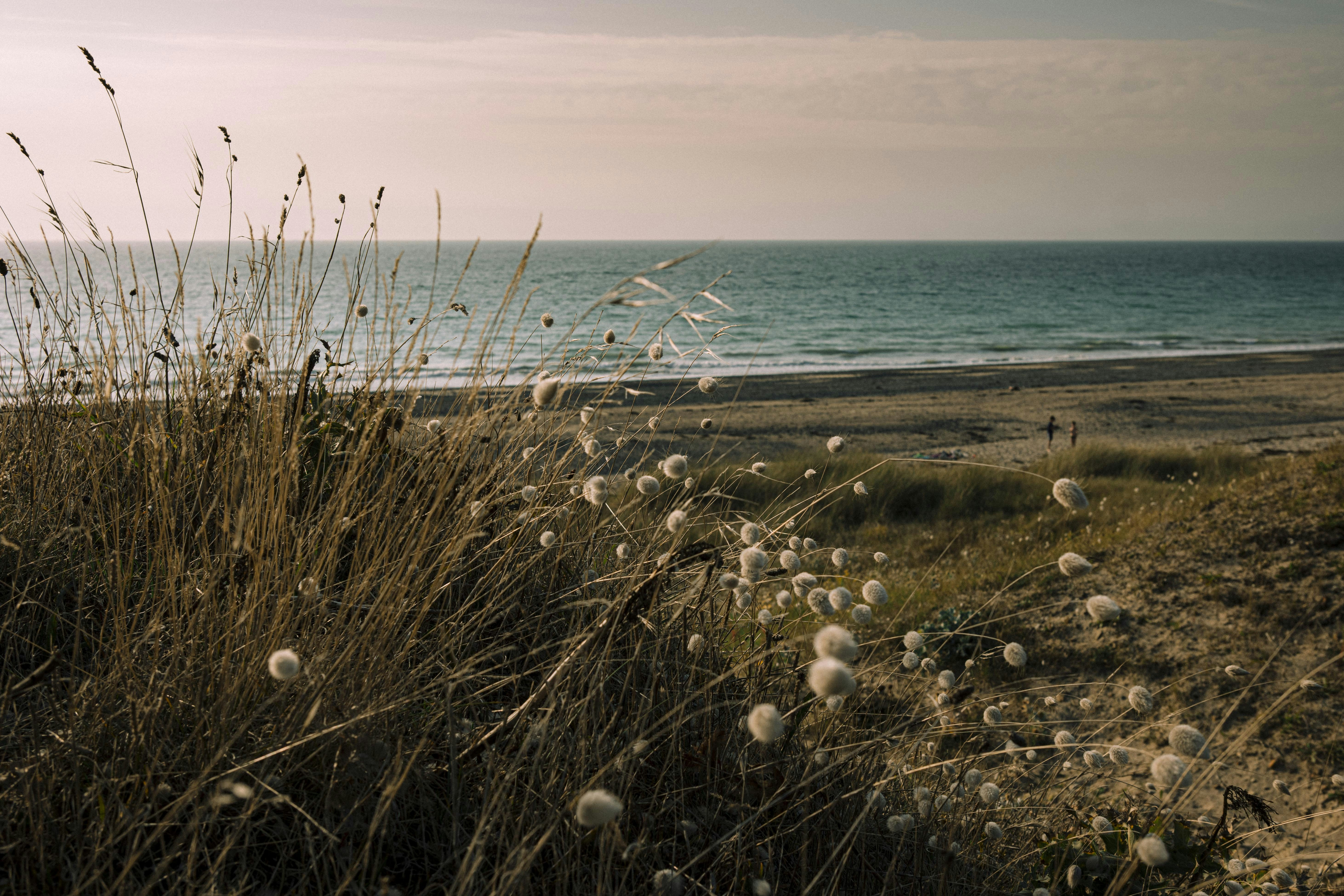 Photo by i_am_simoesse