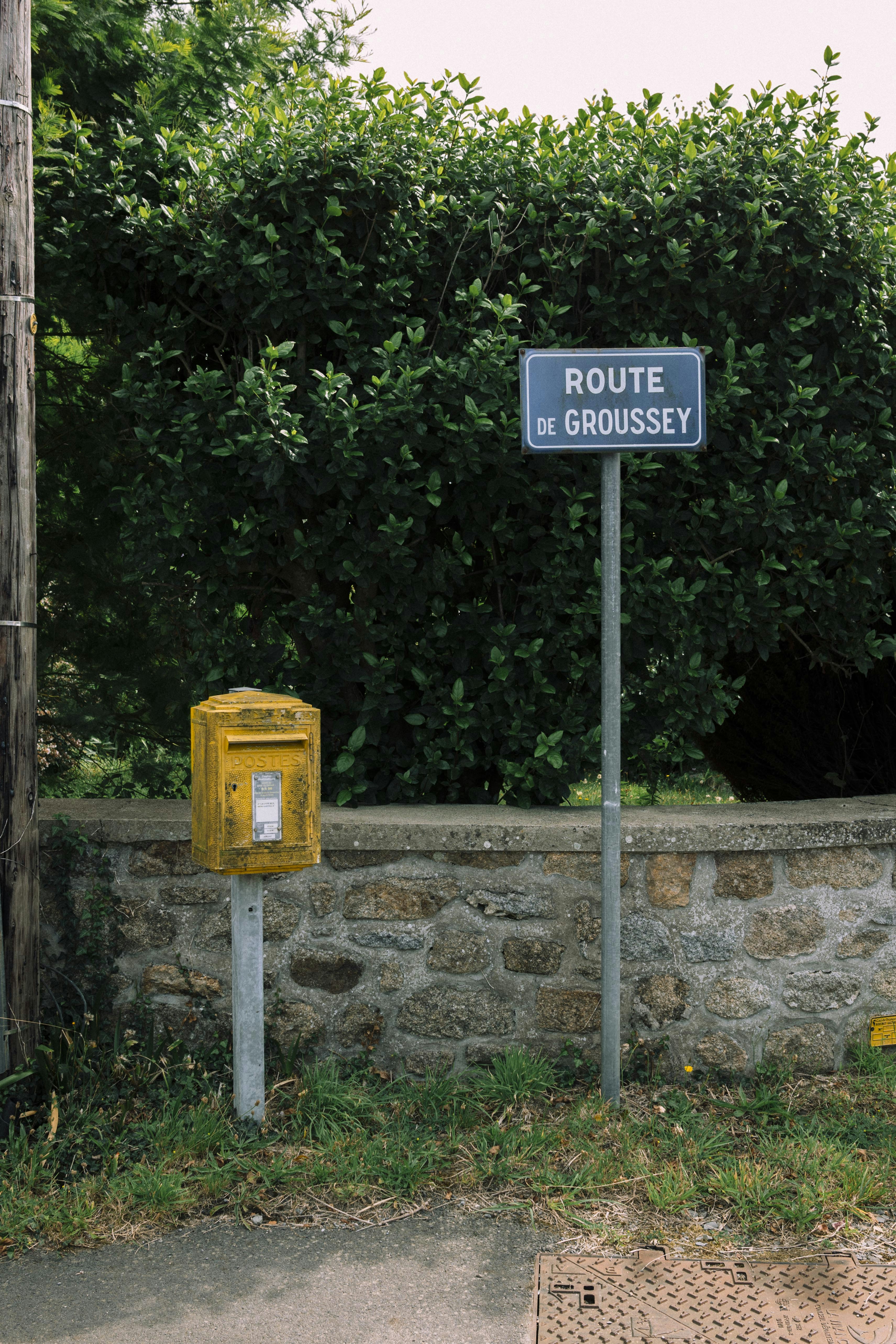 Photo by i_am_simoesse