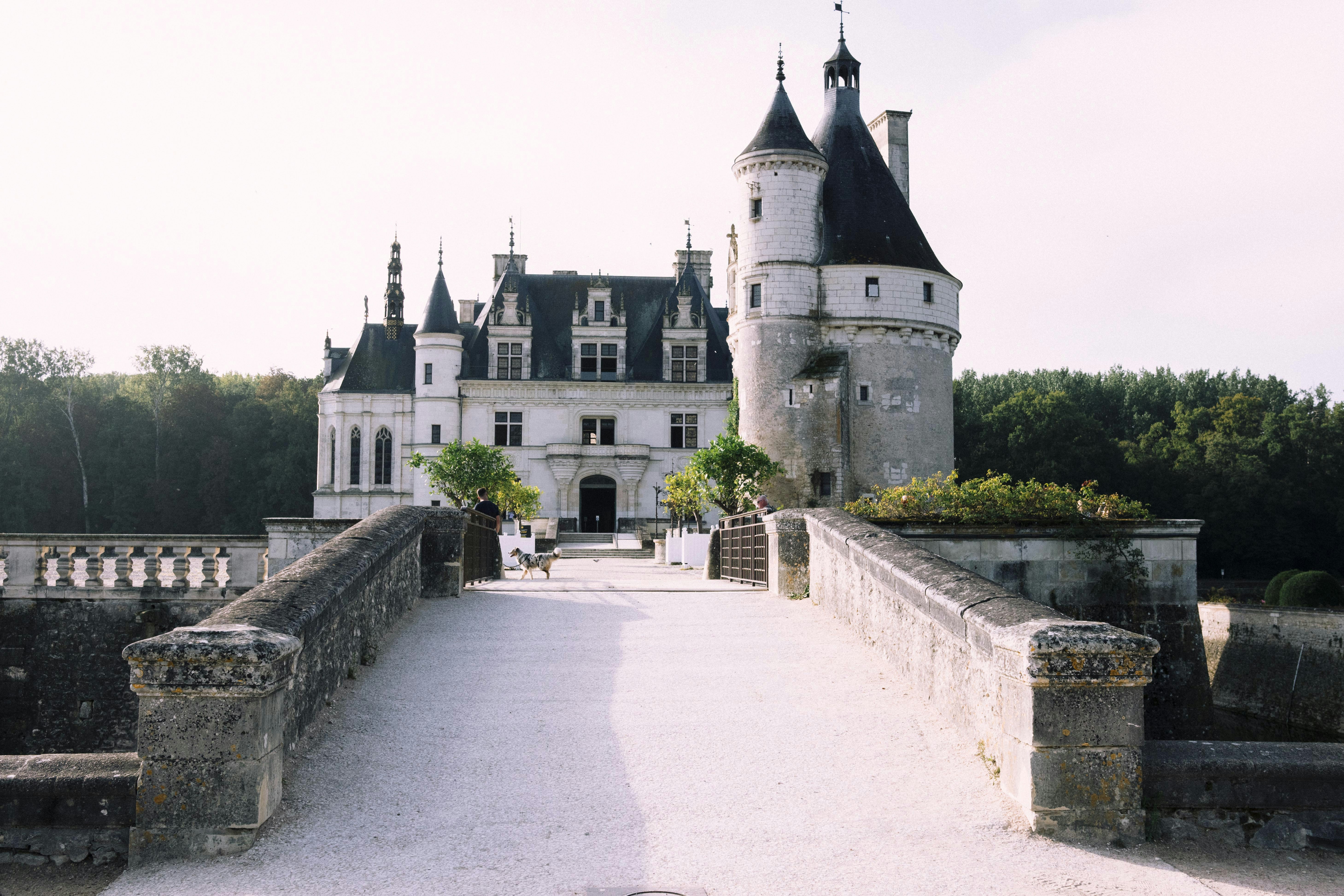 Photo by i_am_simoesse