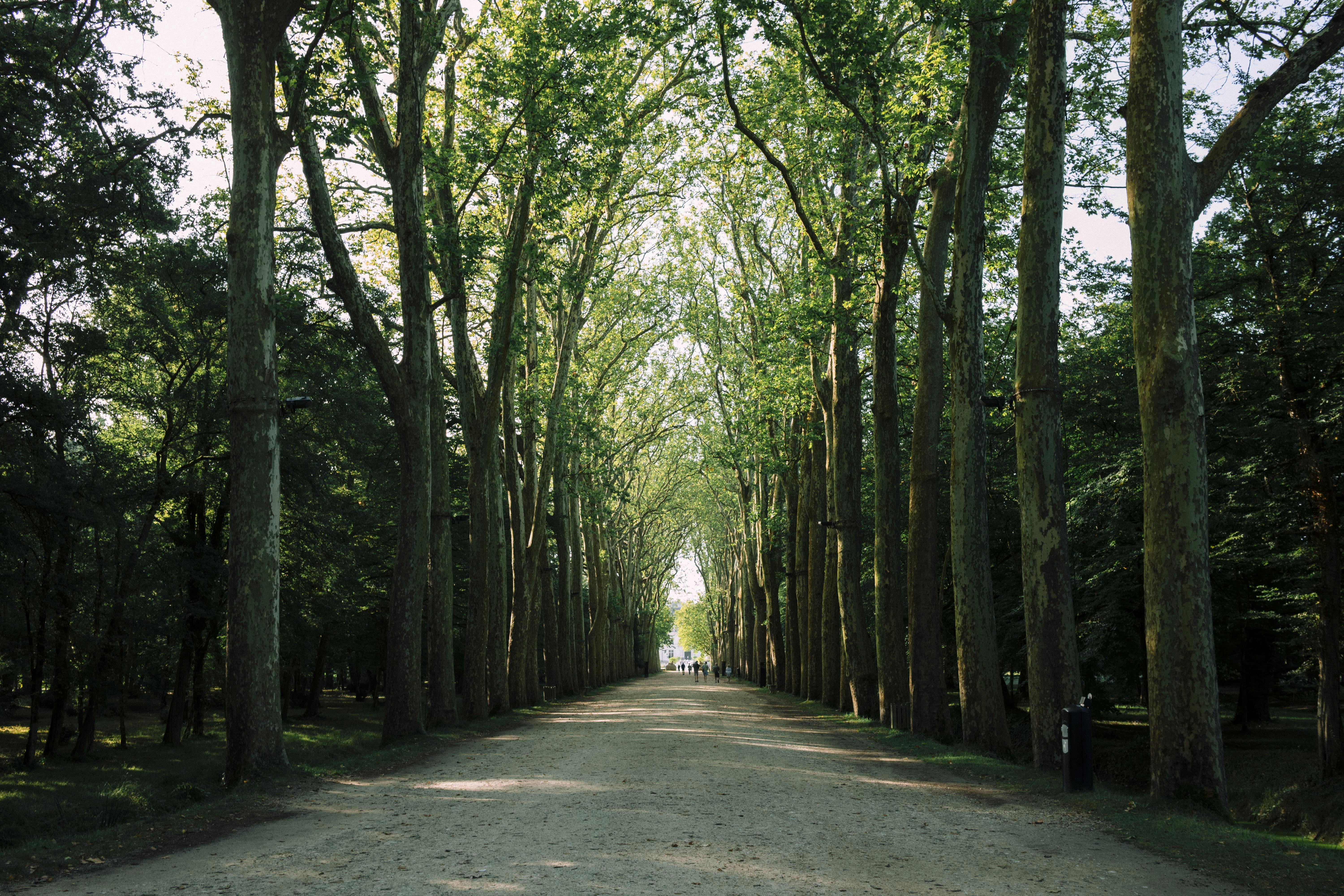 Photo by i_am_simoesse