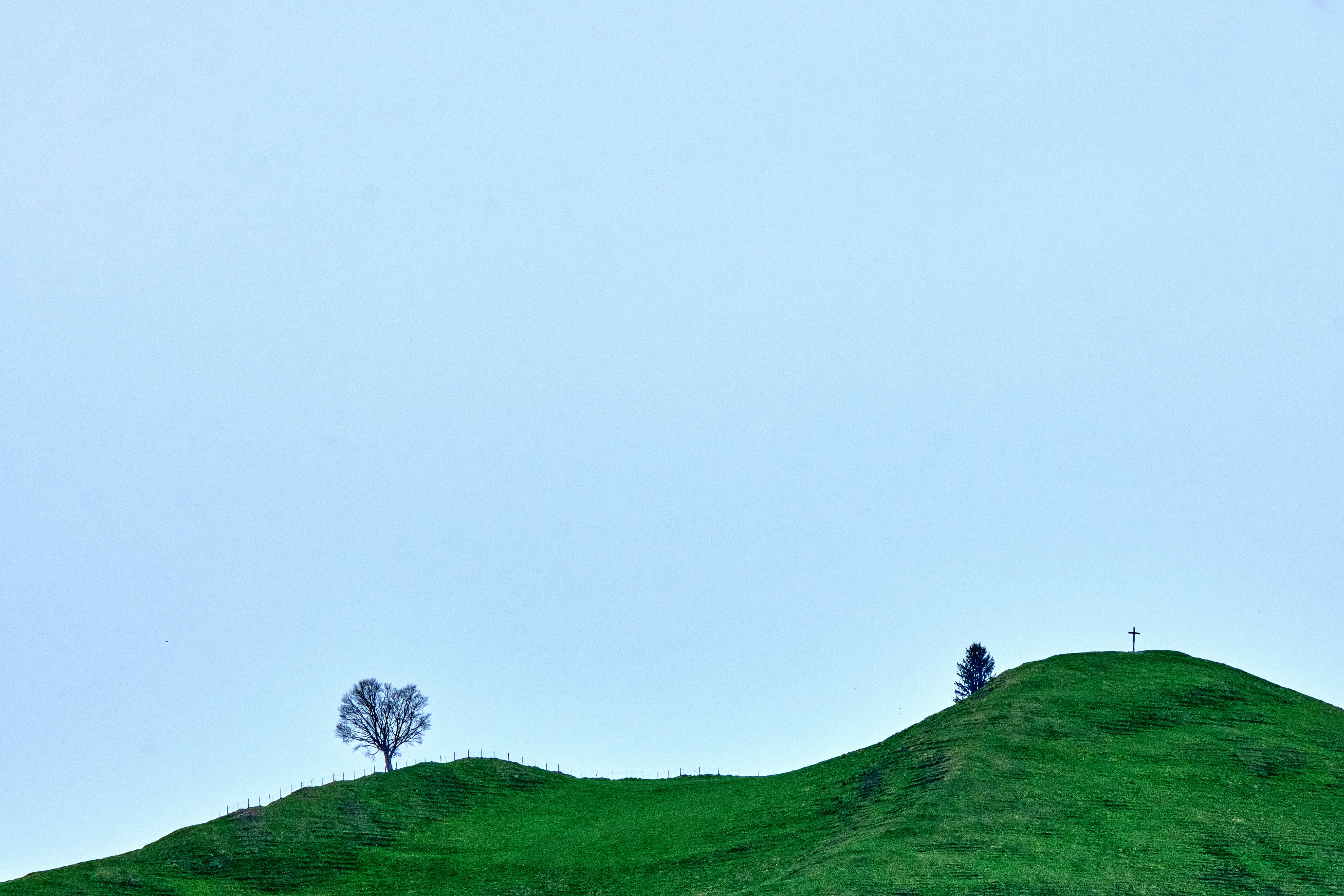 Photo by marcus_ganahl