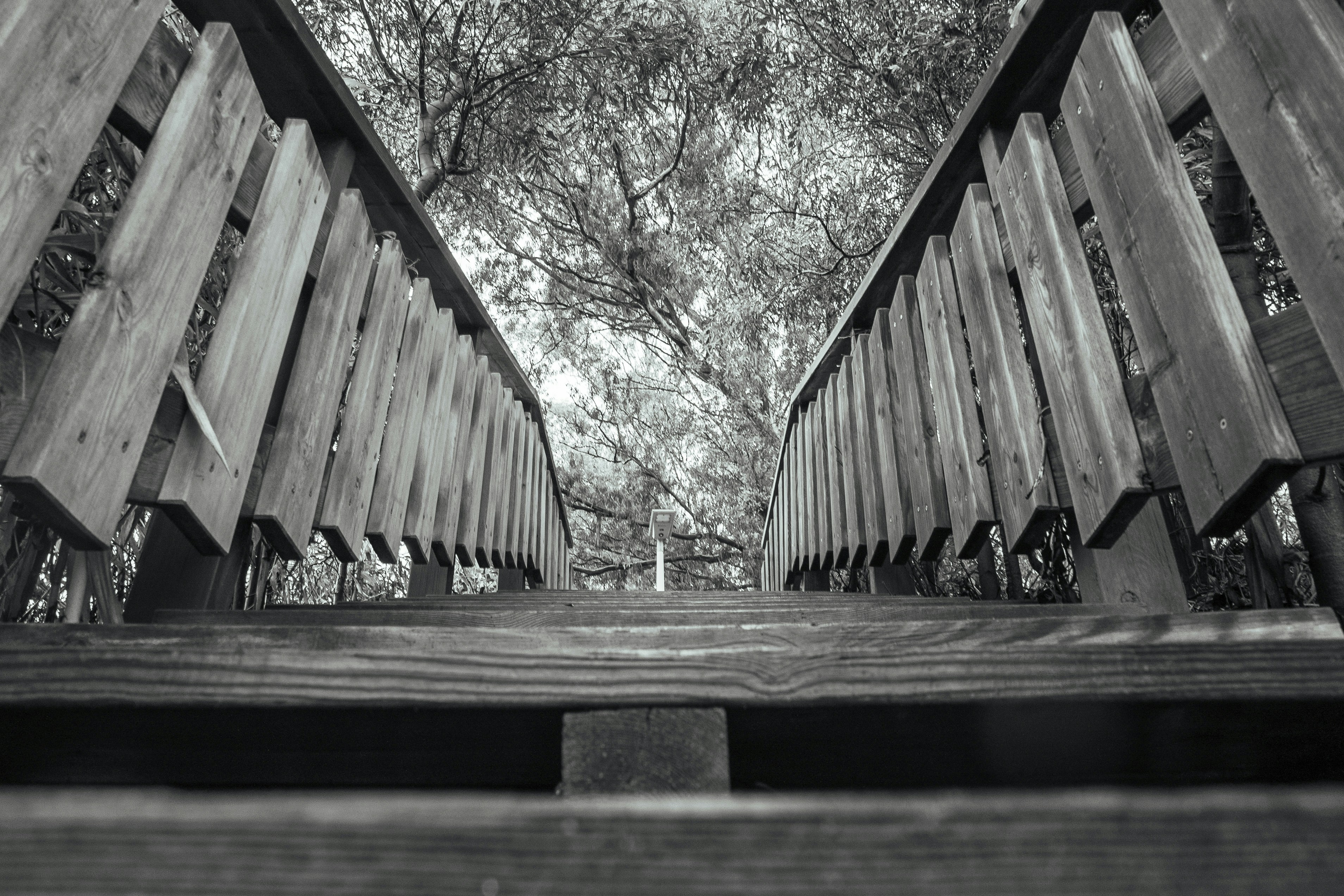 A black and white photo of a wooden bridge