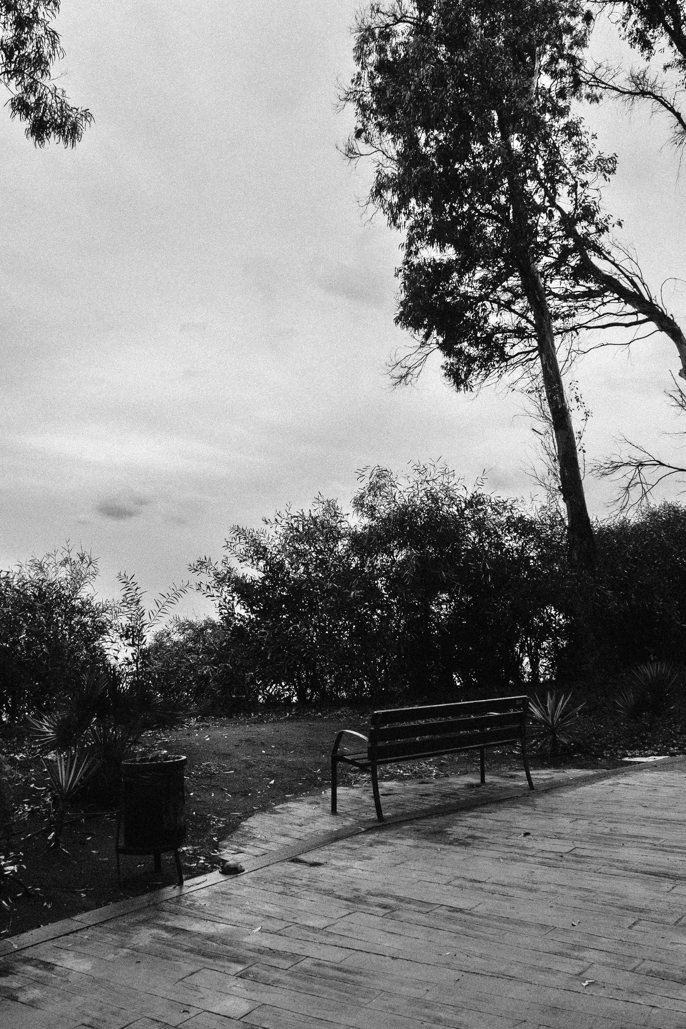 Photo by borjaverbena