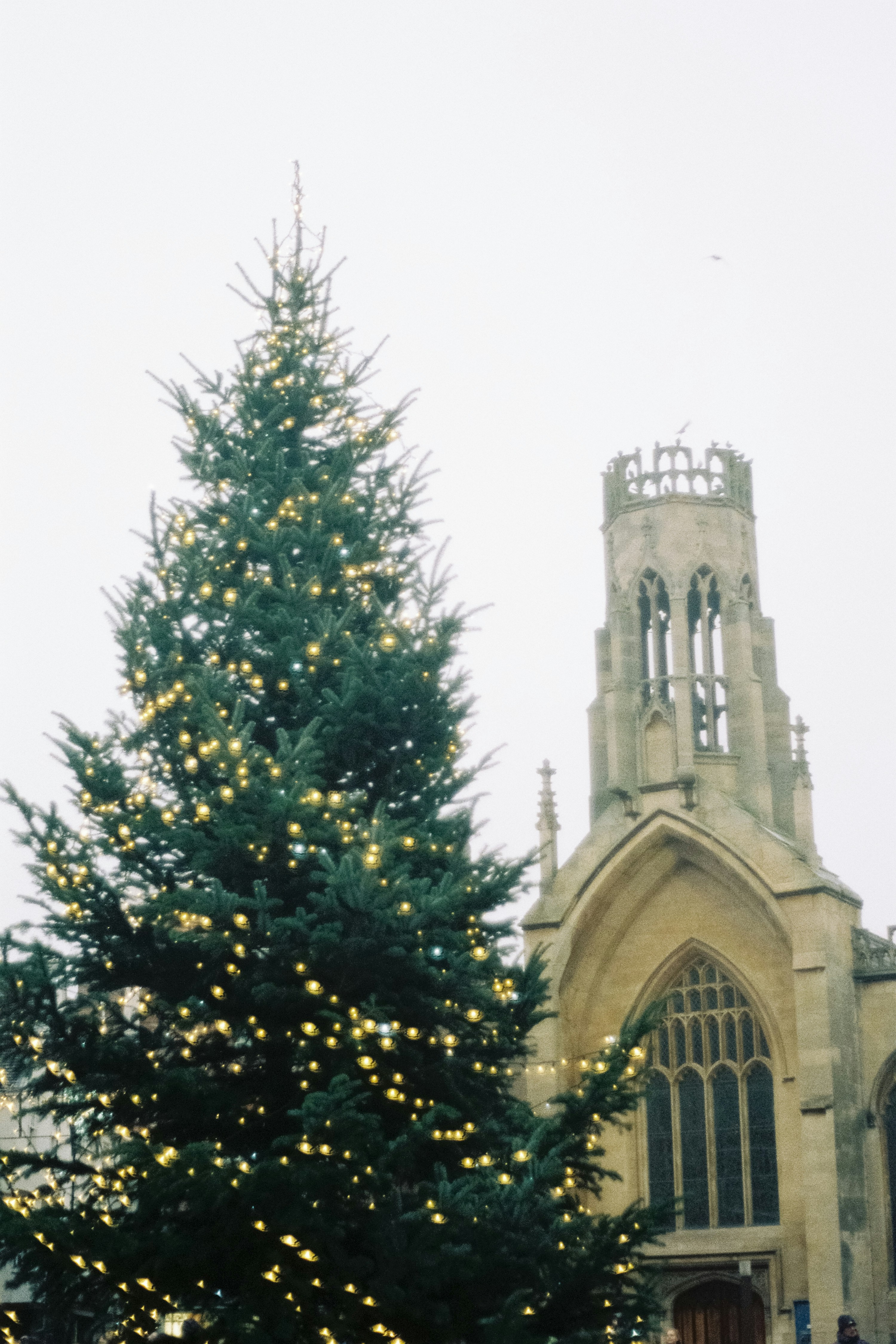 Photo by nateh0lland