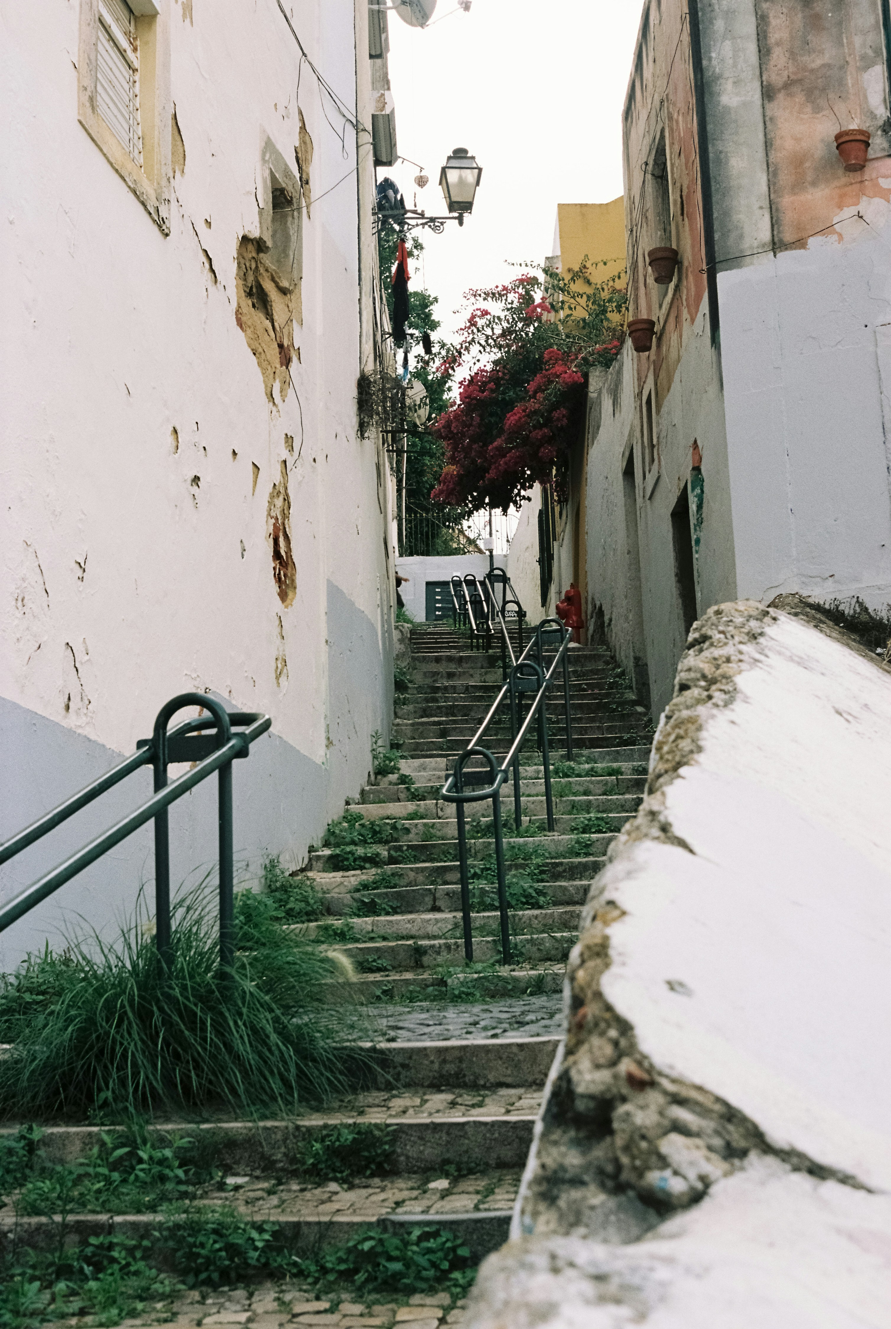 Photo by nateh0lland