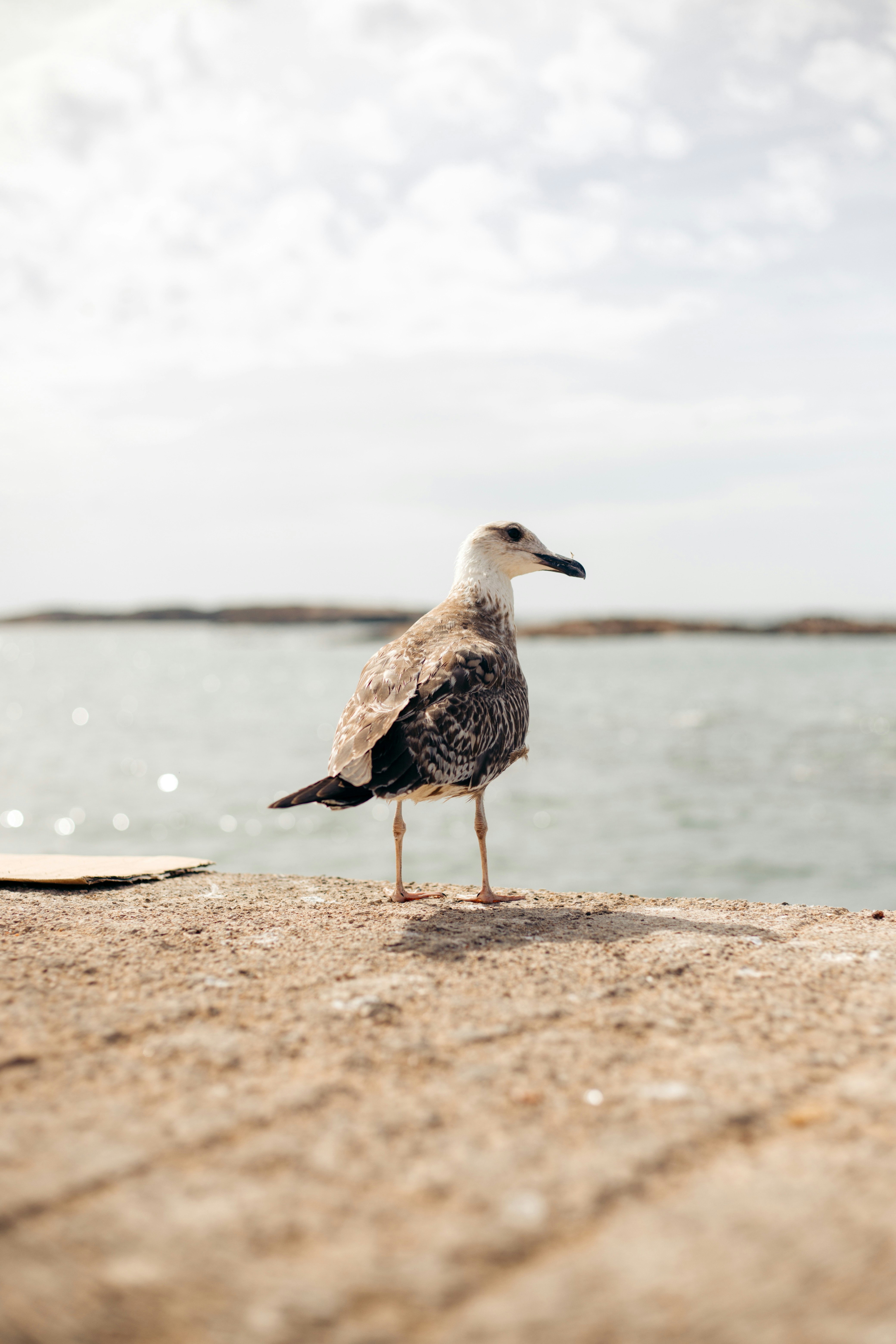 Photo by salaheregouane